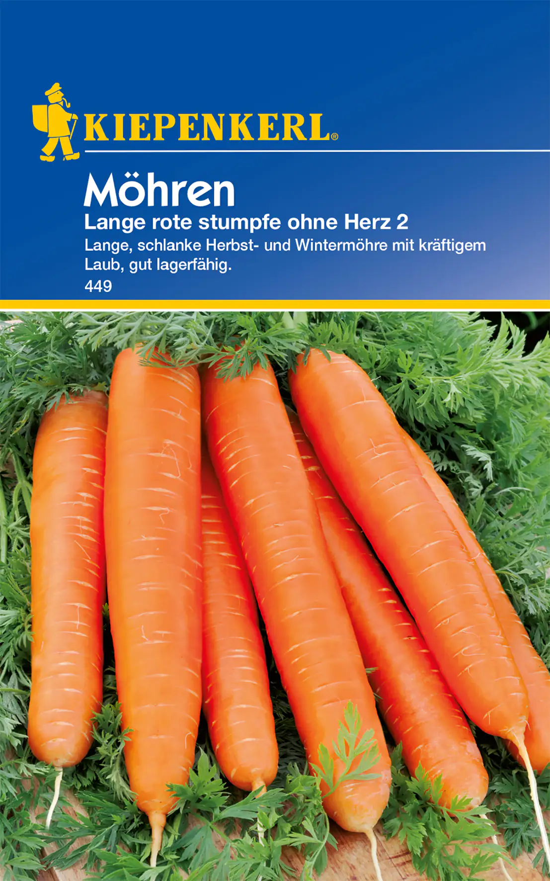 Kiepenkerl Möhre Lange rote Stumpfe ohne Herz 2 Kiepenkerl Möhre Lange rote Stumpfe ohne Herz 2