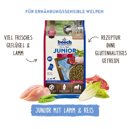 Bosch Trockenfutter für Hunde Junior 15 kg mit Lamm & Reis Bosch Trockenfutter für Hunde Junior 15 kg mit Lamm & Reis