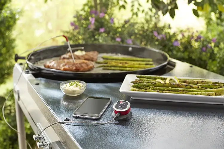 Weber Grillthermometer iGrill mini mit LED Display