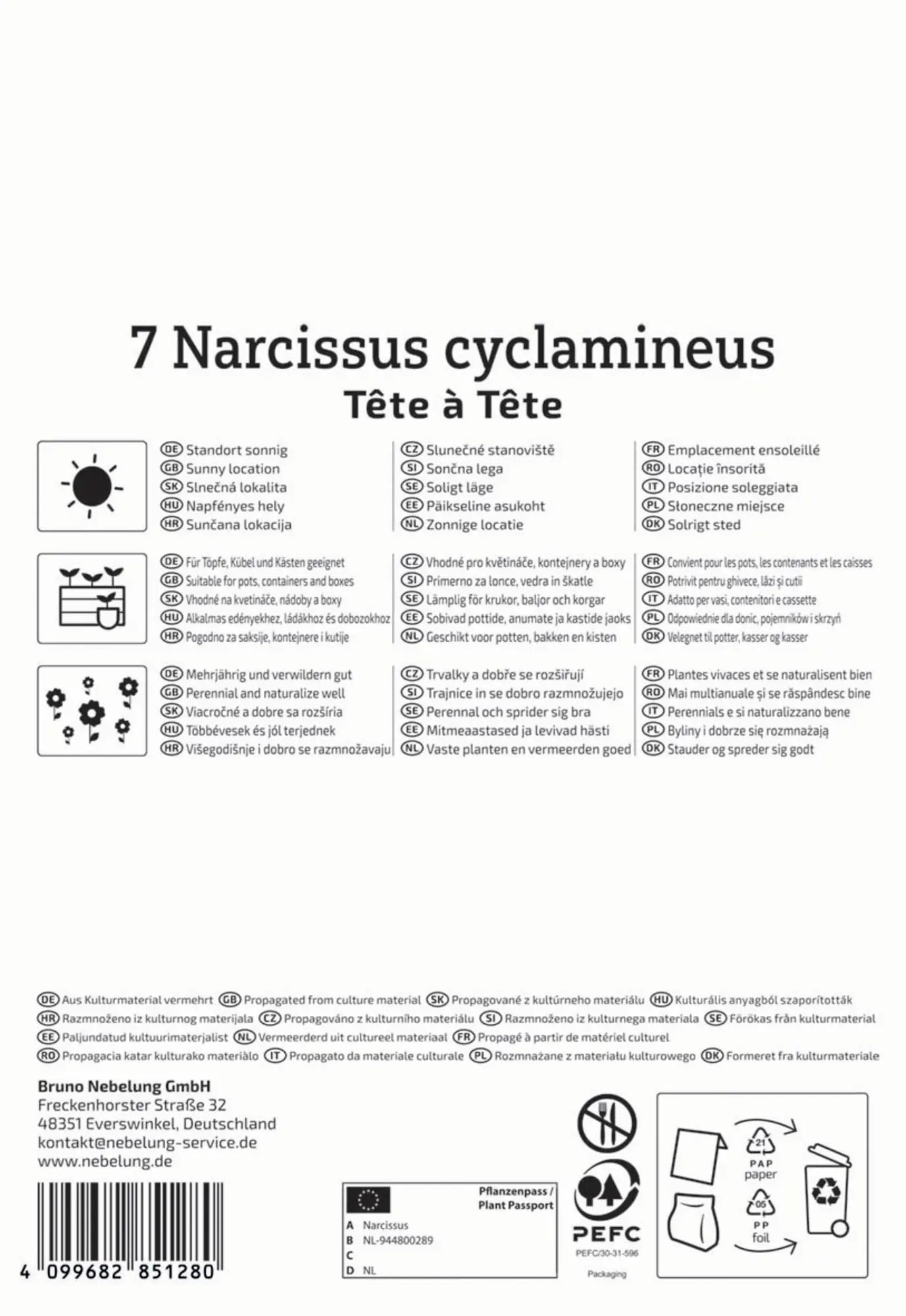 Kiepenkerl Herbstblumenzwiebel Alpenveilchen-Narzisse Tête à Tête 7 Stück