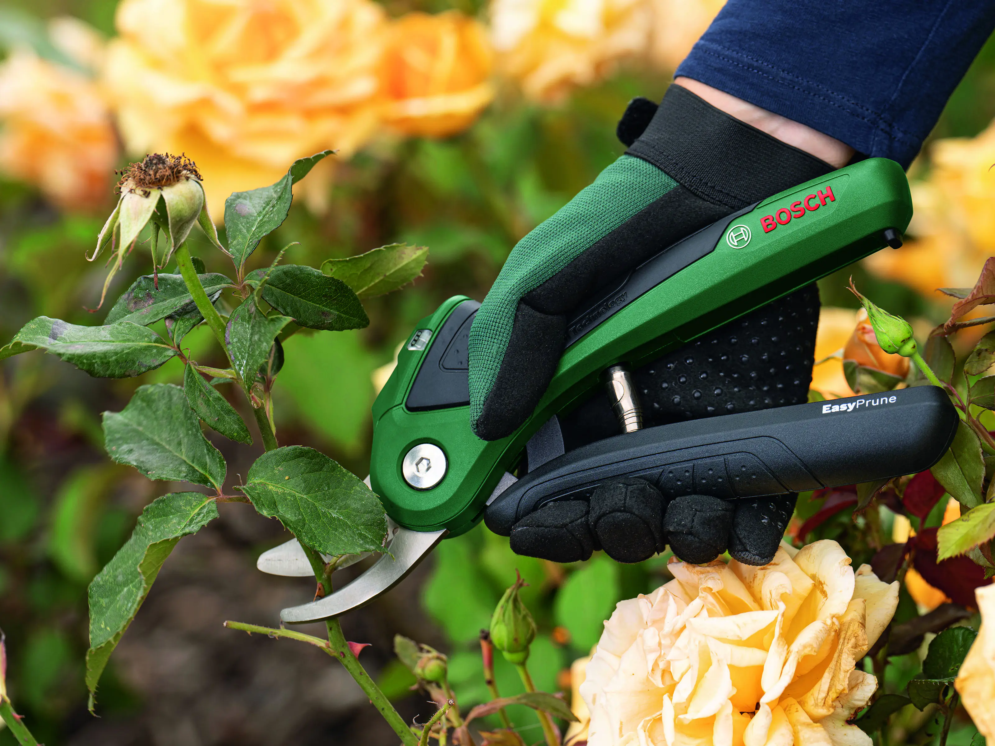 Bosch Akku-Gartenschere EasyPrune inkl. Ladekabel