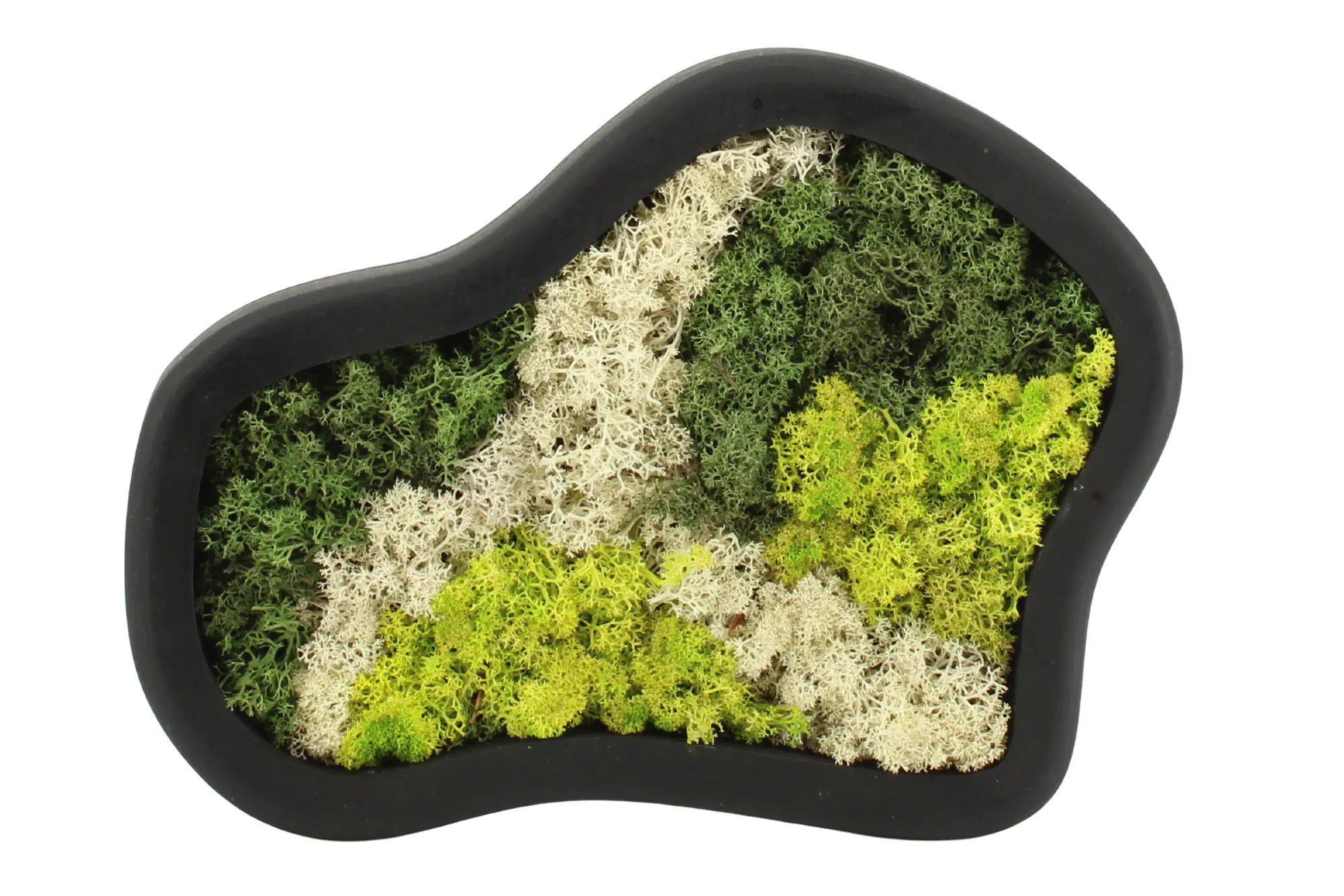 Moosbild freie Form Ø 30 cm mit echtem Moos