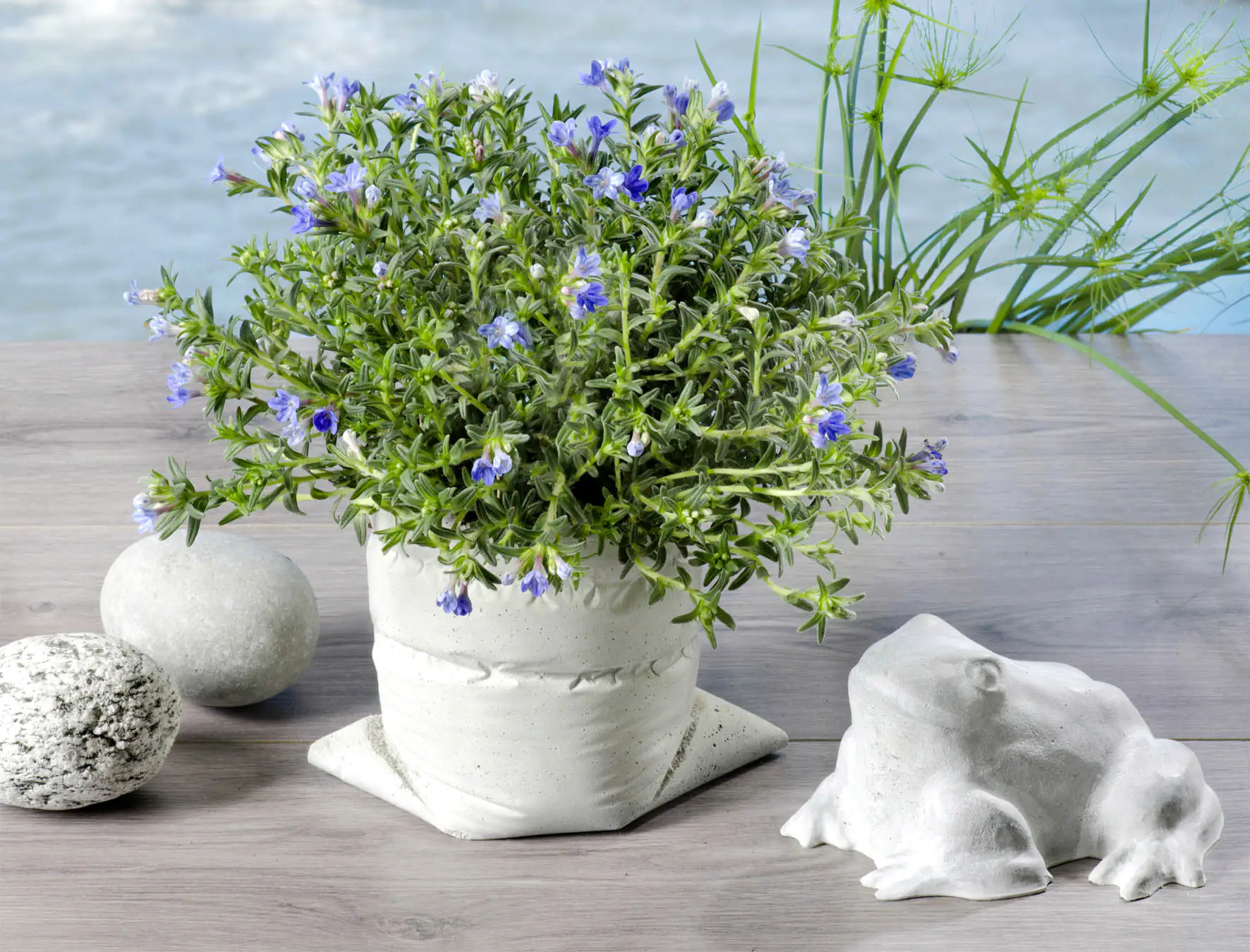 Glorex Creative-Beton 1,5 kg