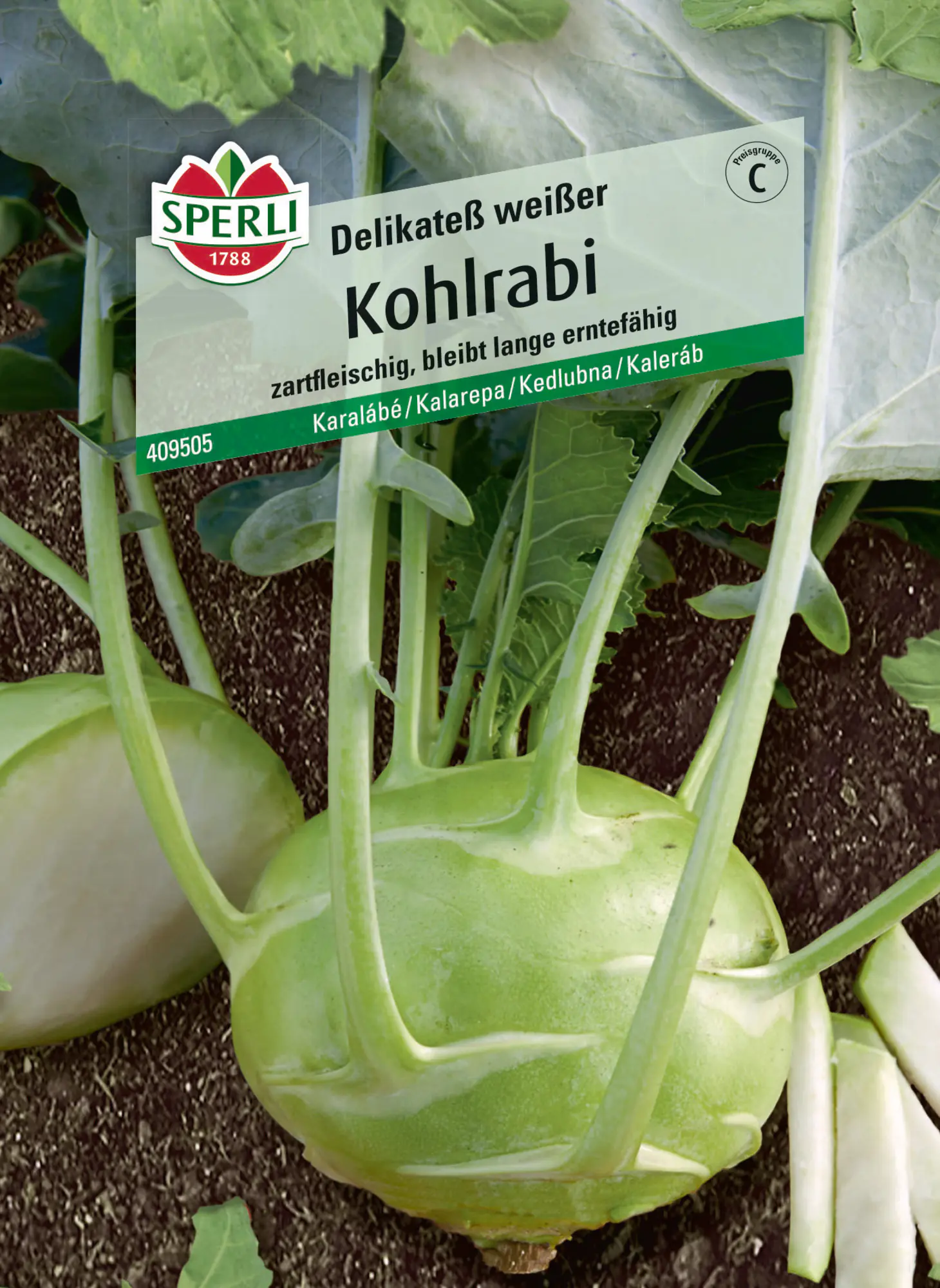 Sperli Saatgut Kohlrabi Delikateß Weißer für ca. 60 Pflanzen