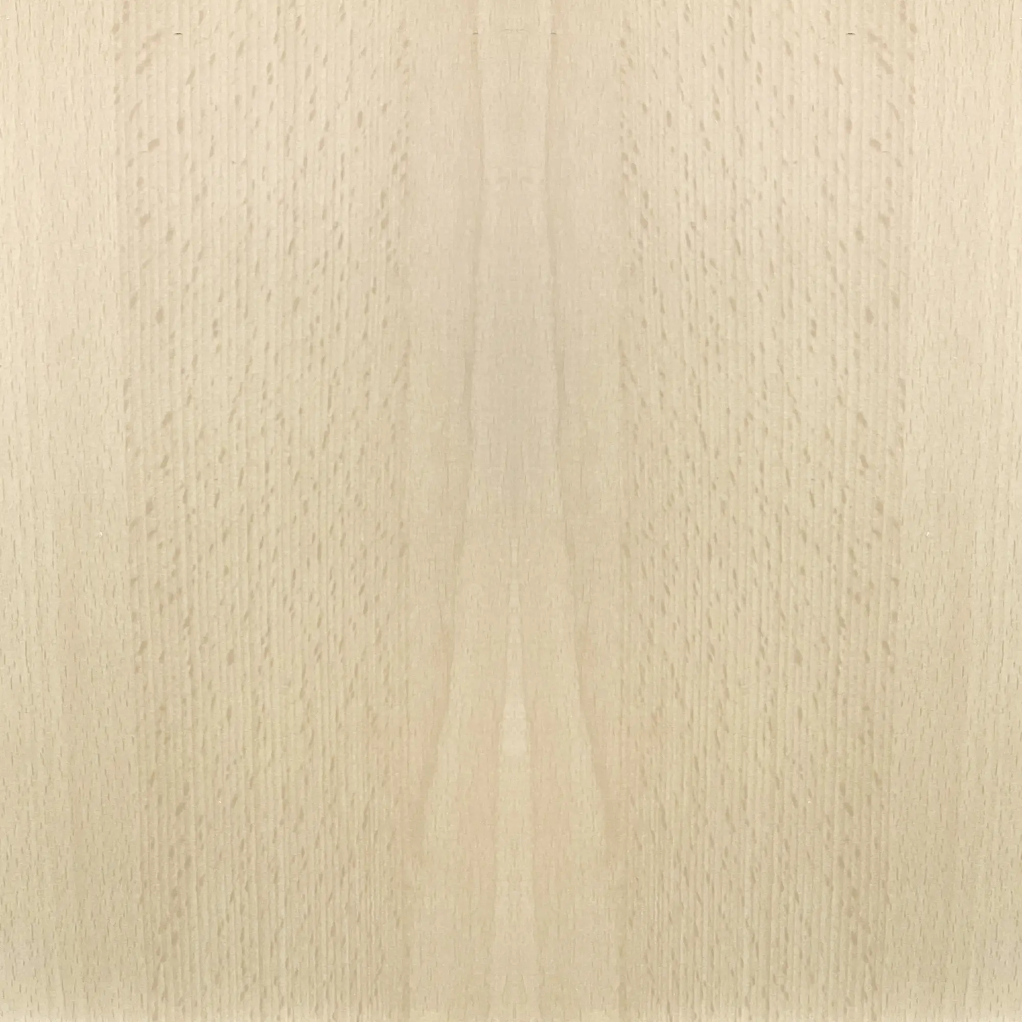 FN Neuhofer Falzleiste 95 cm 20 x 10 mm Buche