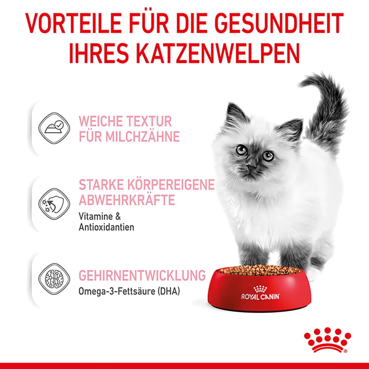 Royal Canin Katzenfutter Kitten feine Stückchen in Soße 85 g Royal Canin Katzenfutter Kitten feine Stückchen in Soße 85 g