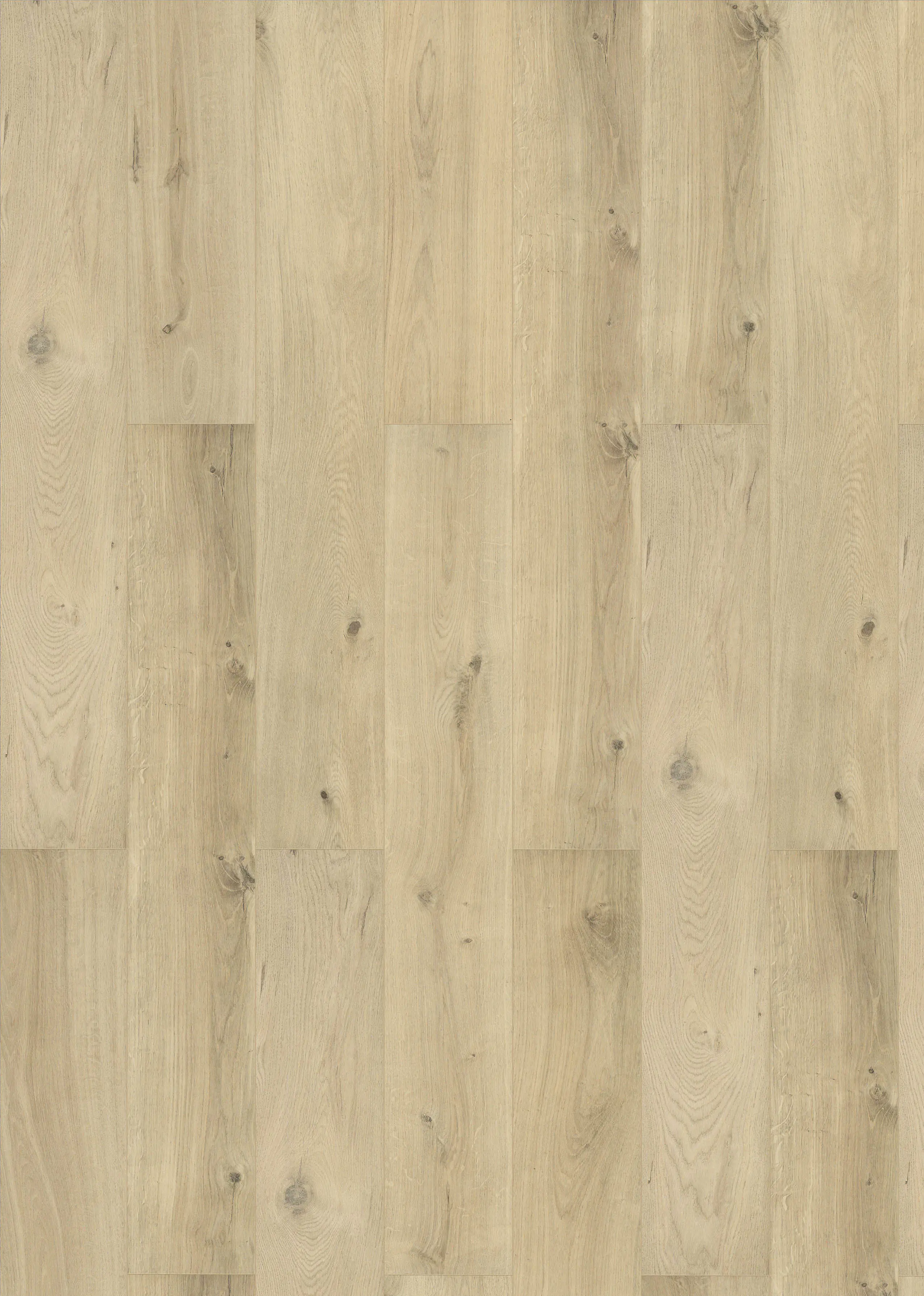 Classen Laminat Schatteneiche 48 St. Palettenabnahme Classen Laminat Schatteneiche 48 St. Palettenabnahme