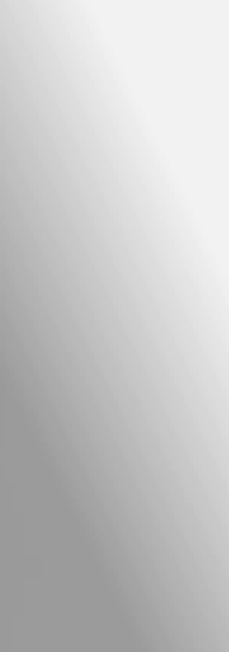 Türklebespiegel 39x111 cm