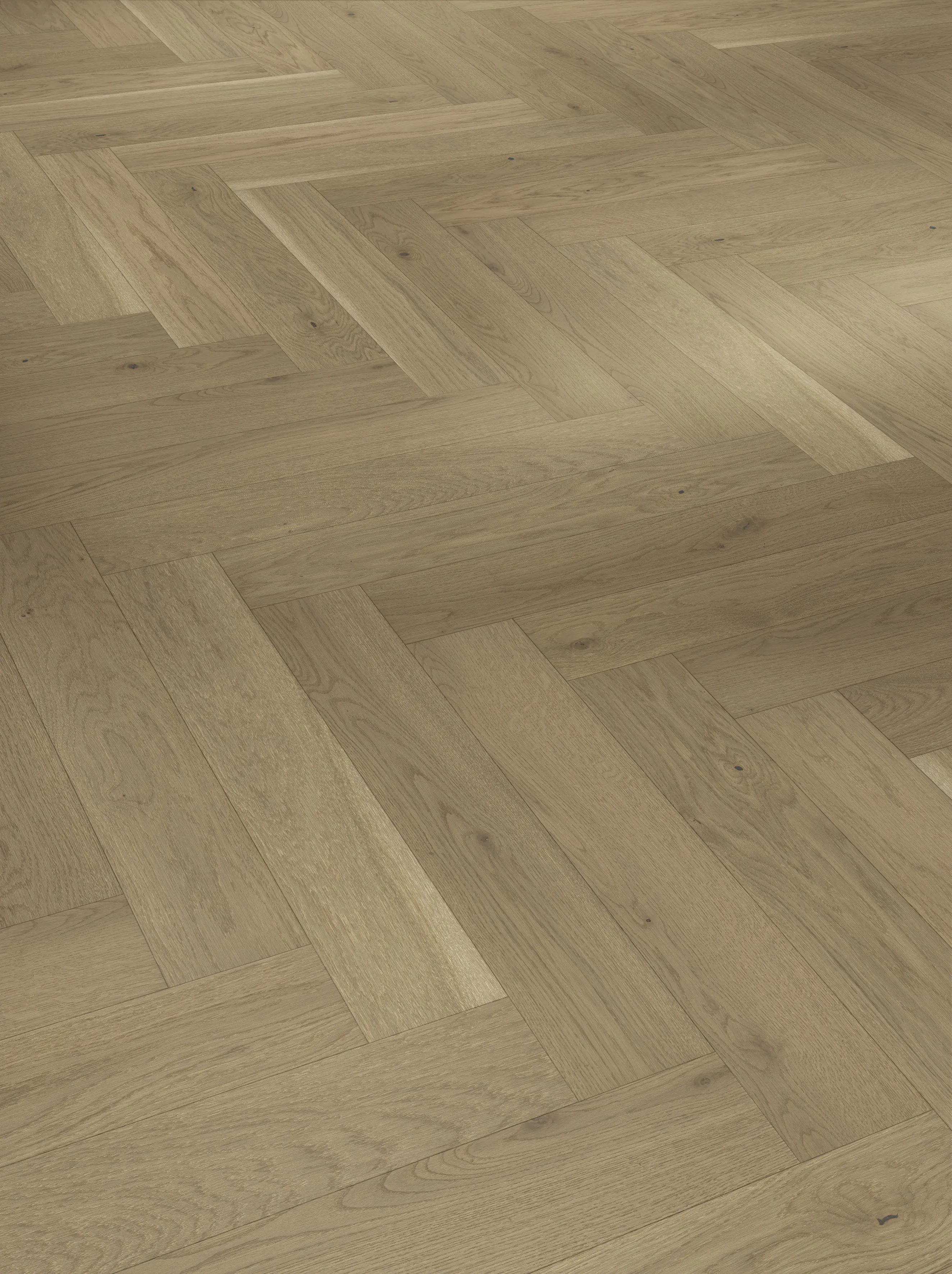 Parador Parkett Trendtime Eiche nougat matt Parador Parkett Trendtime Eiche nougat matt