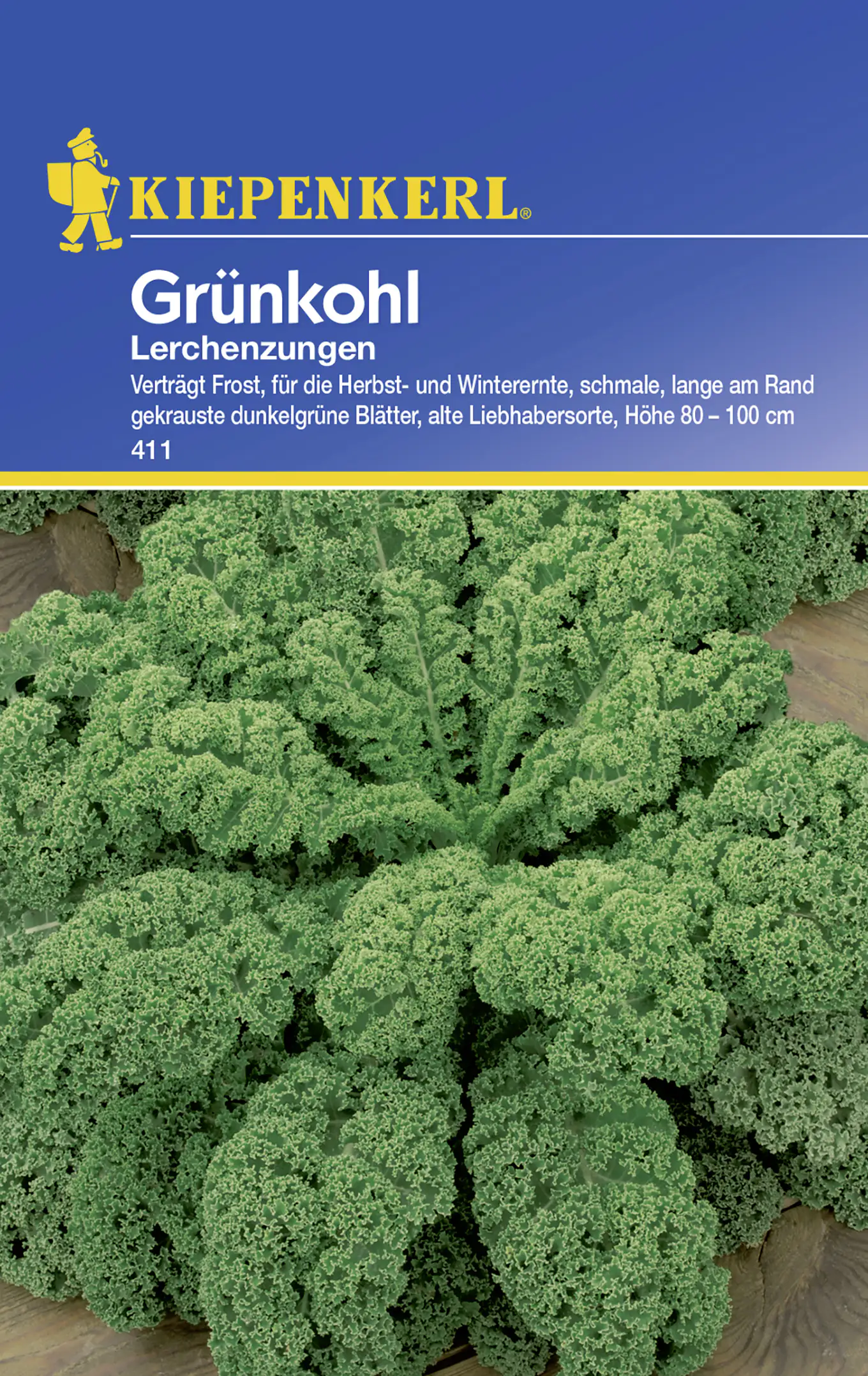 Kiepenkerl Grünkohl Lerchenzungen Brassica oleracea var. sabellica
