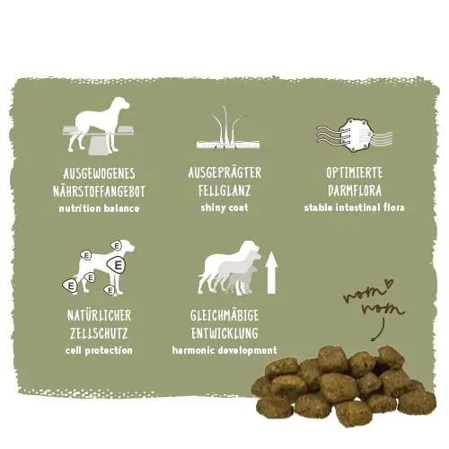 Bosch Trockenfutter für Hunde Adult 3 kg mit Geflügel & Hirse Bosch Trockenfutter für Hunde Adult 3 kg mit Geflügel & Hirse