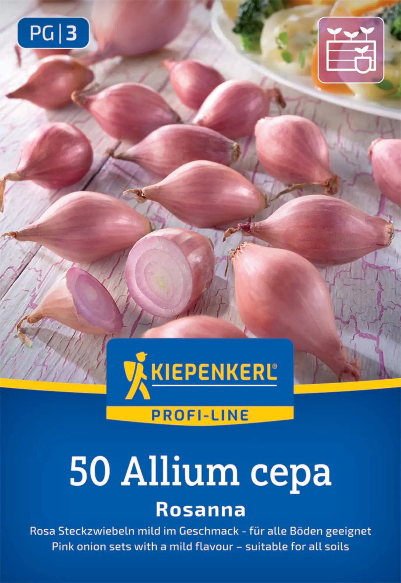 Kiepenkerl Profi-Line Steckzwiebel Rosanna Gr. 12/21, 70 Stück