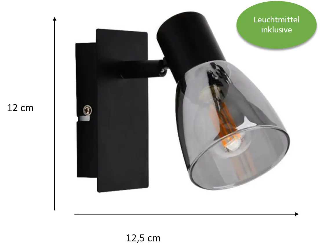 Primaster Wandlampe 1er LED Spot Miami E14 12 x 12,5 cm schwarz 