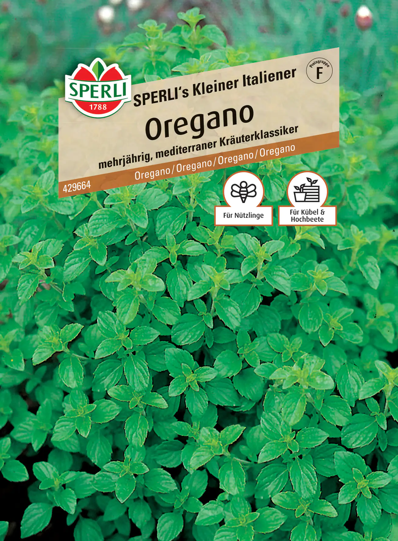 Sperli Oregano Sperli 's Kleiner Italiener Sperli Oregano Sperli 's Kleiner Italiener