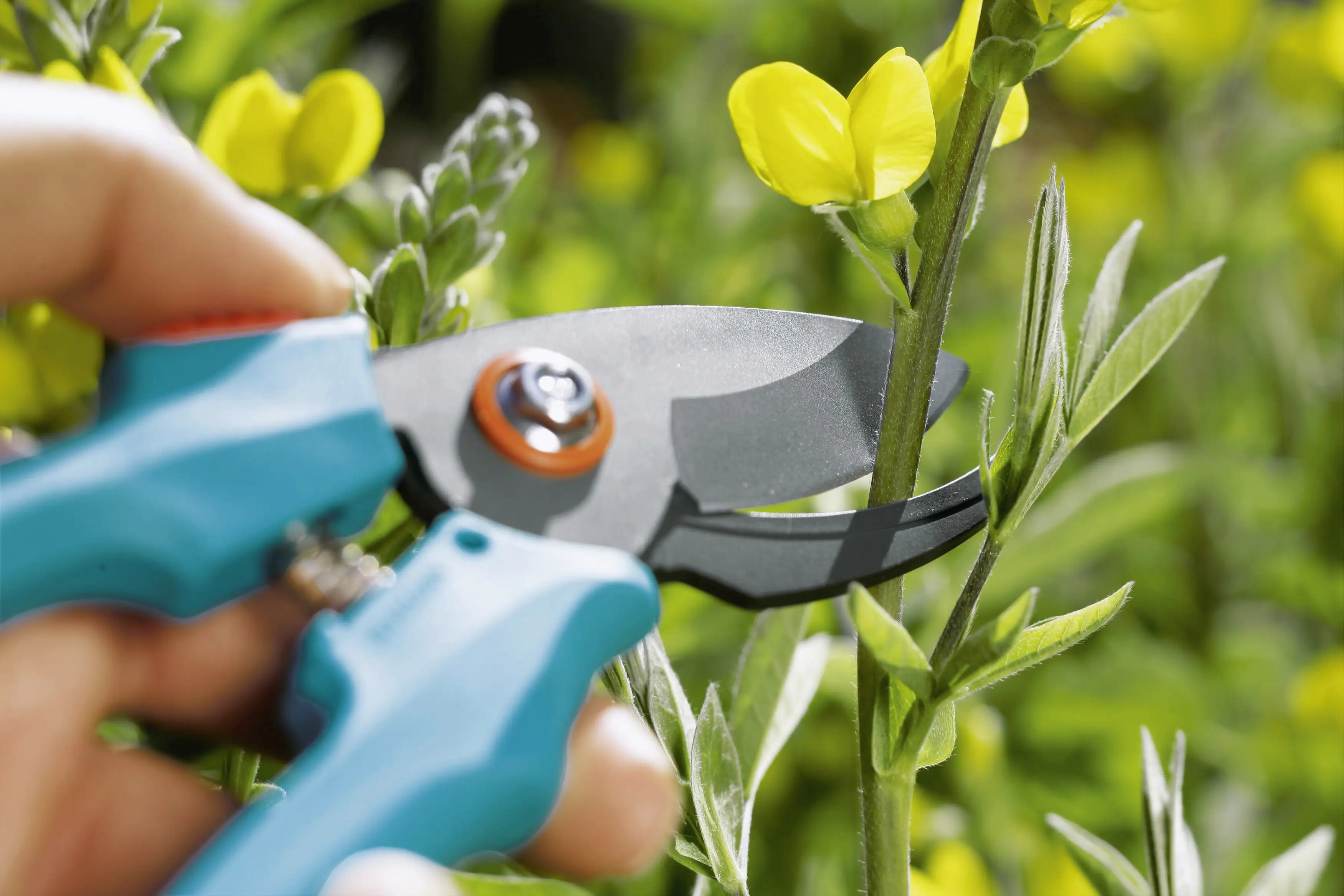 Gardena Gartenschere Classic bis zu Ø 18 mm Schnittstärke