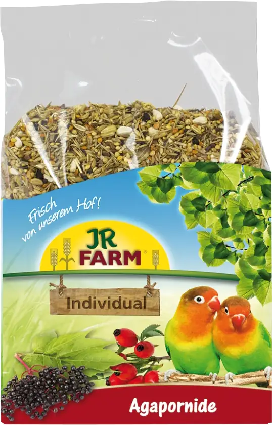 JR Birds Individual Agapornide