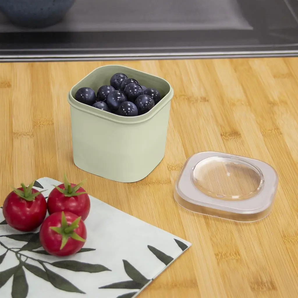 Sunware Food to Go Lunchbox Sigma Home 2er-Set grün