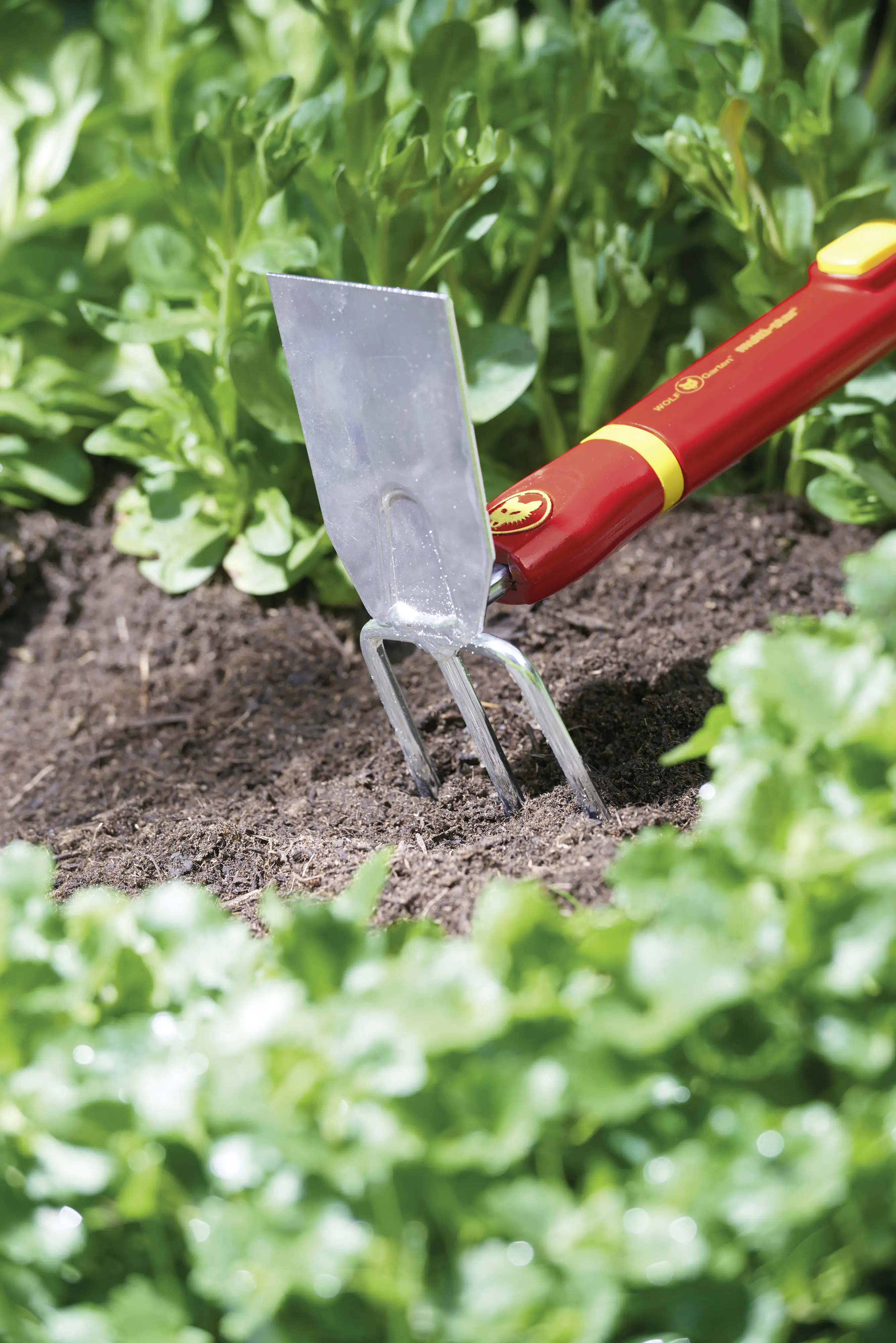 Wolf Garten Doppelhacke LN-M 7 cm Arbeitsbreite