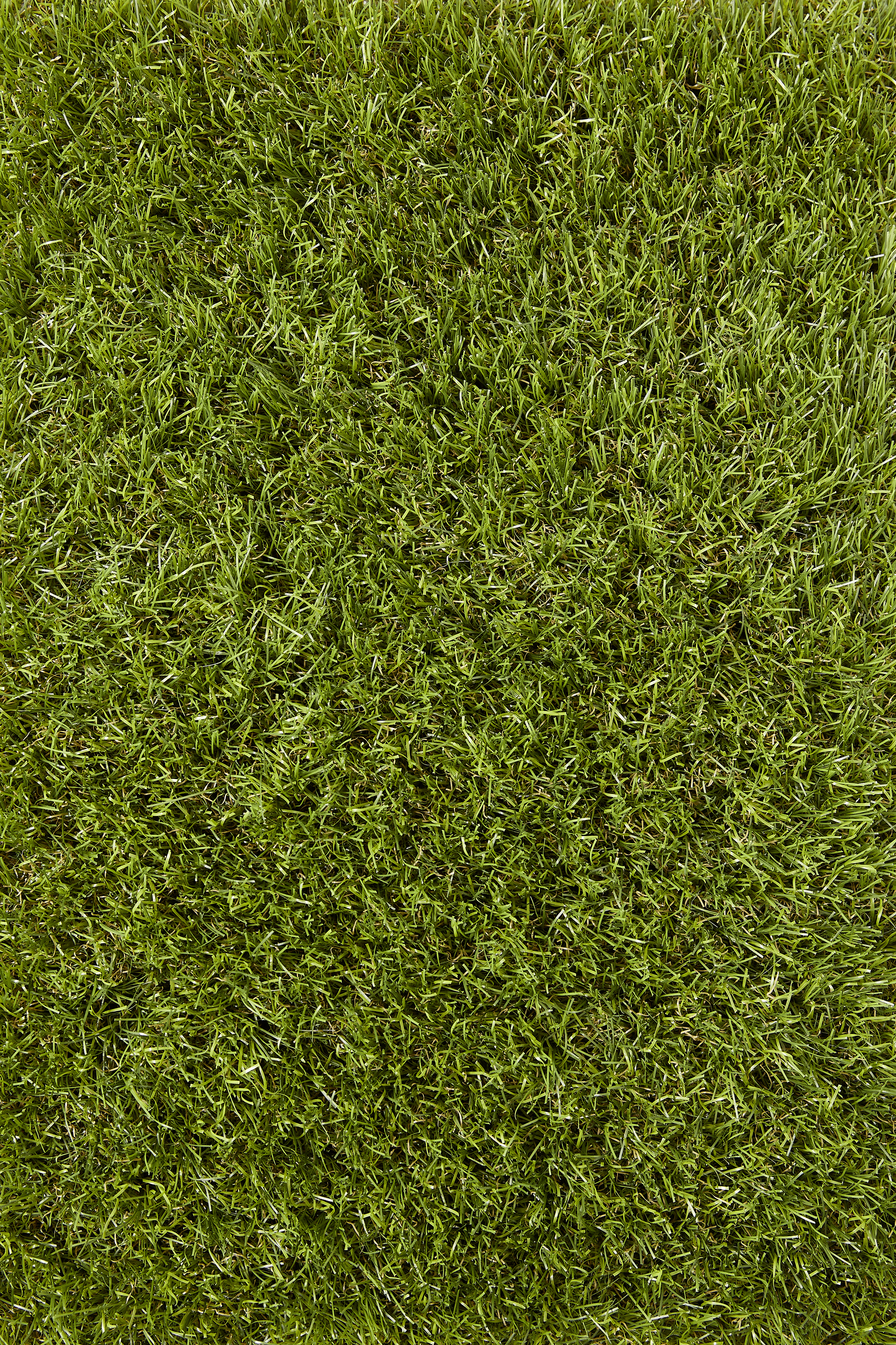 Kunstrasen Adelaide grün 2 m breit (Meterware)