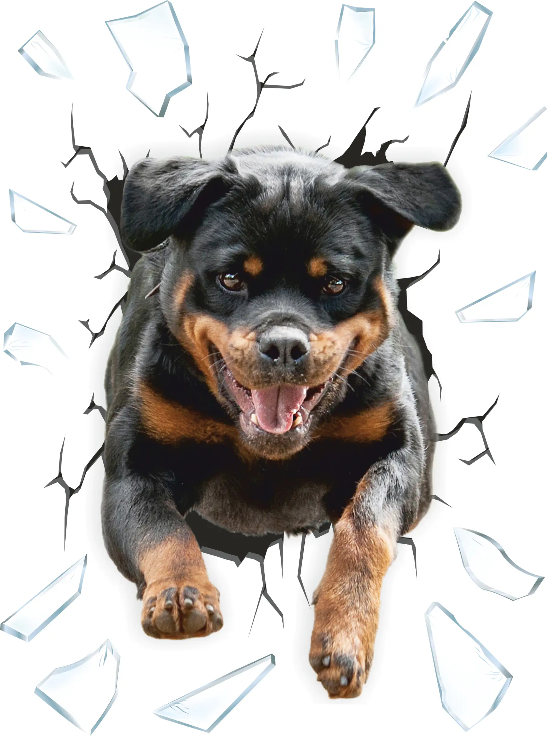 Hermann Schütz Aufkleber Einschussloch Motiv Rottweiler 200x270mm