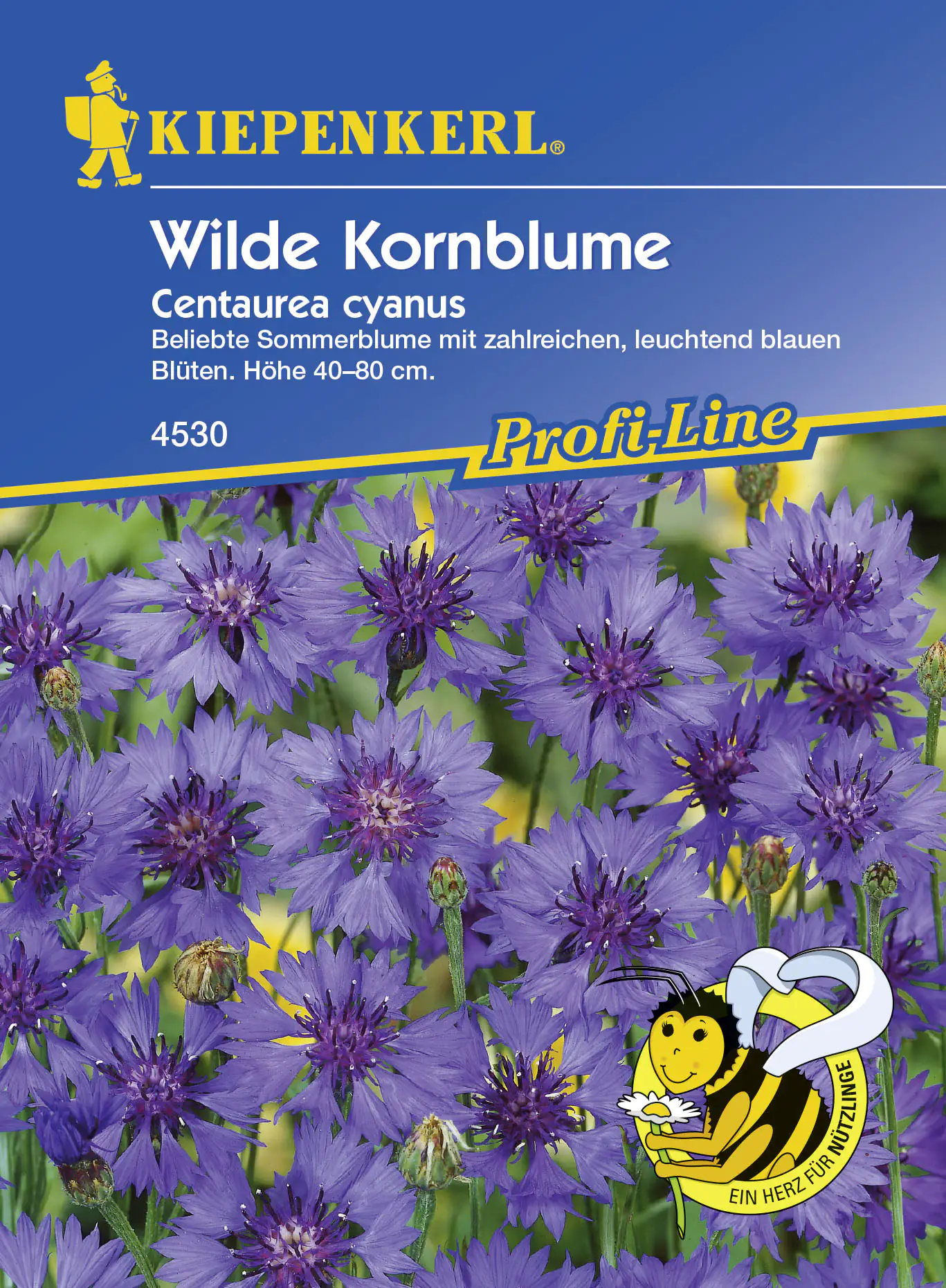 Kiepenkerl Kornblume Centaurea cyanus, Inhalt: 3 - 5 m²