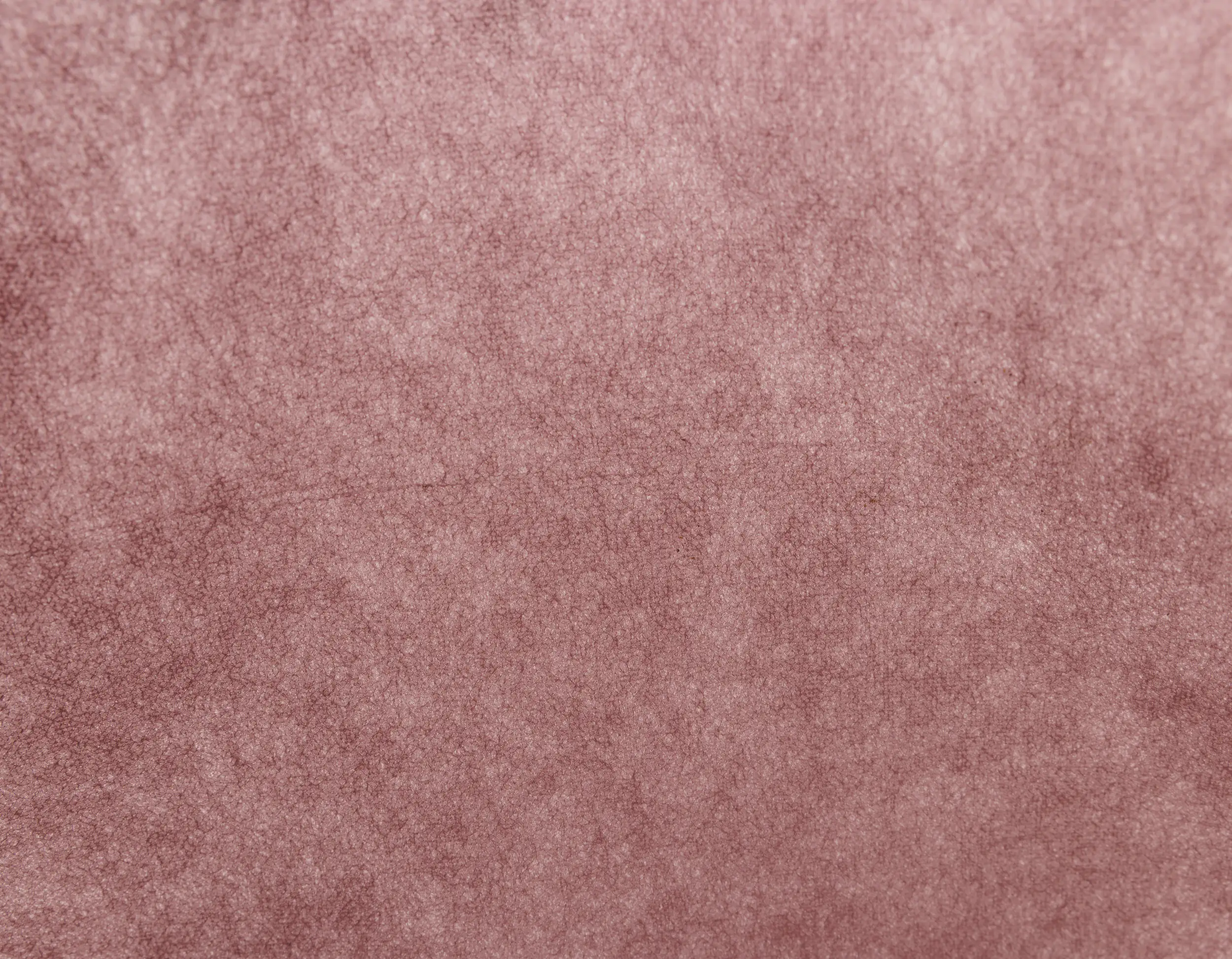 TrendLine Heckenvlies 0,5 x 20 m