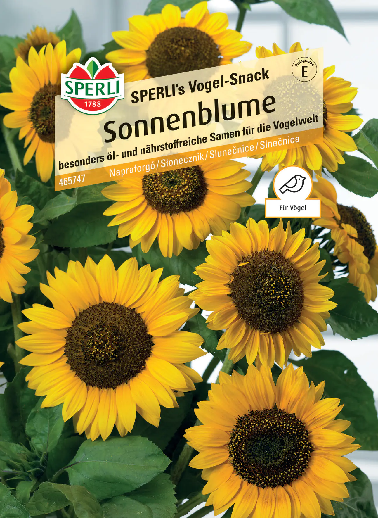 Sperli Snack-Sonnenblume Peredovick