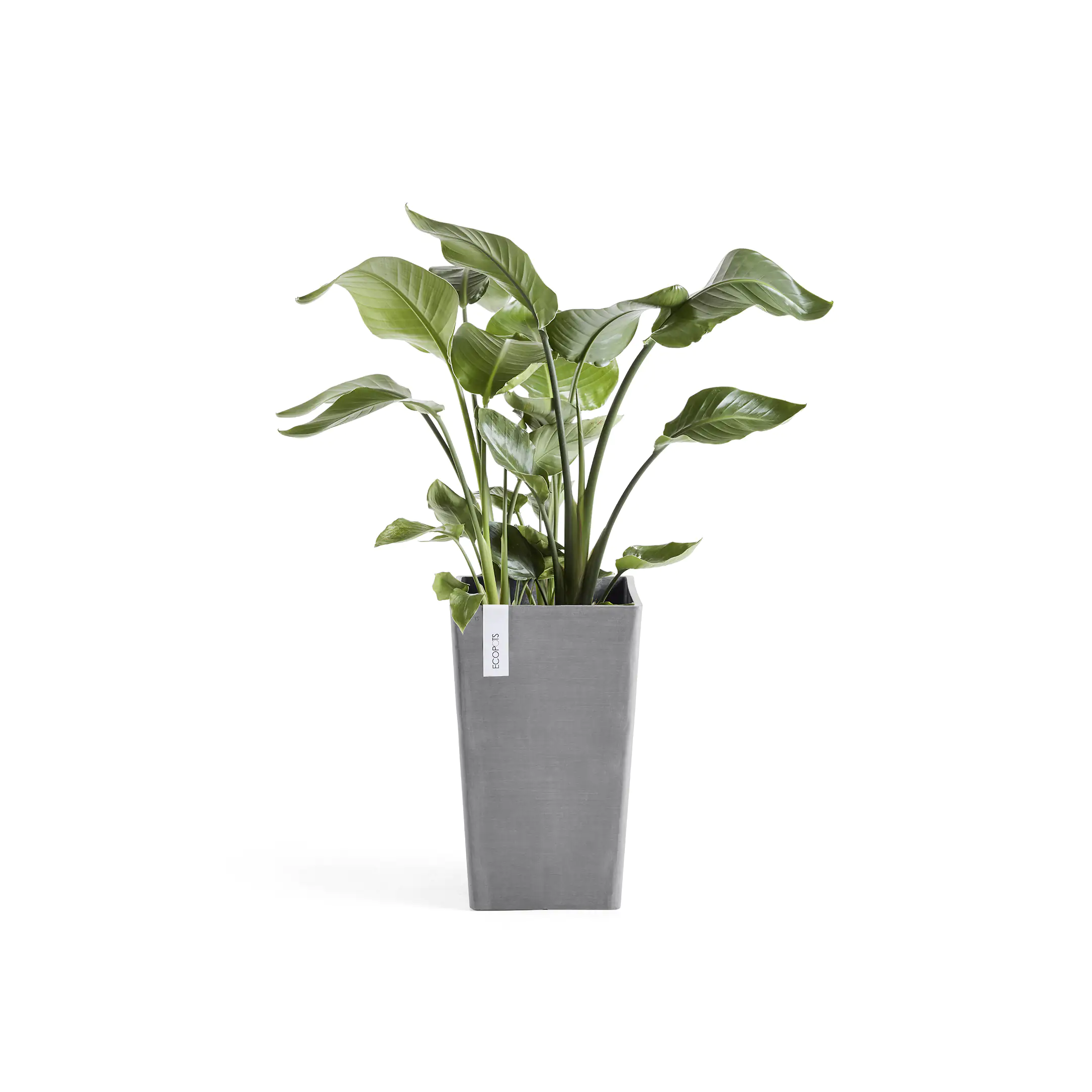 Ecopots Pflanztopf Rotterdam 30 x 30 x 50 cm grau