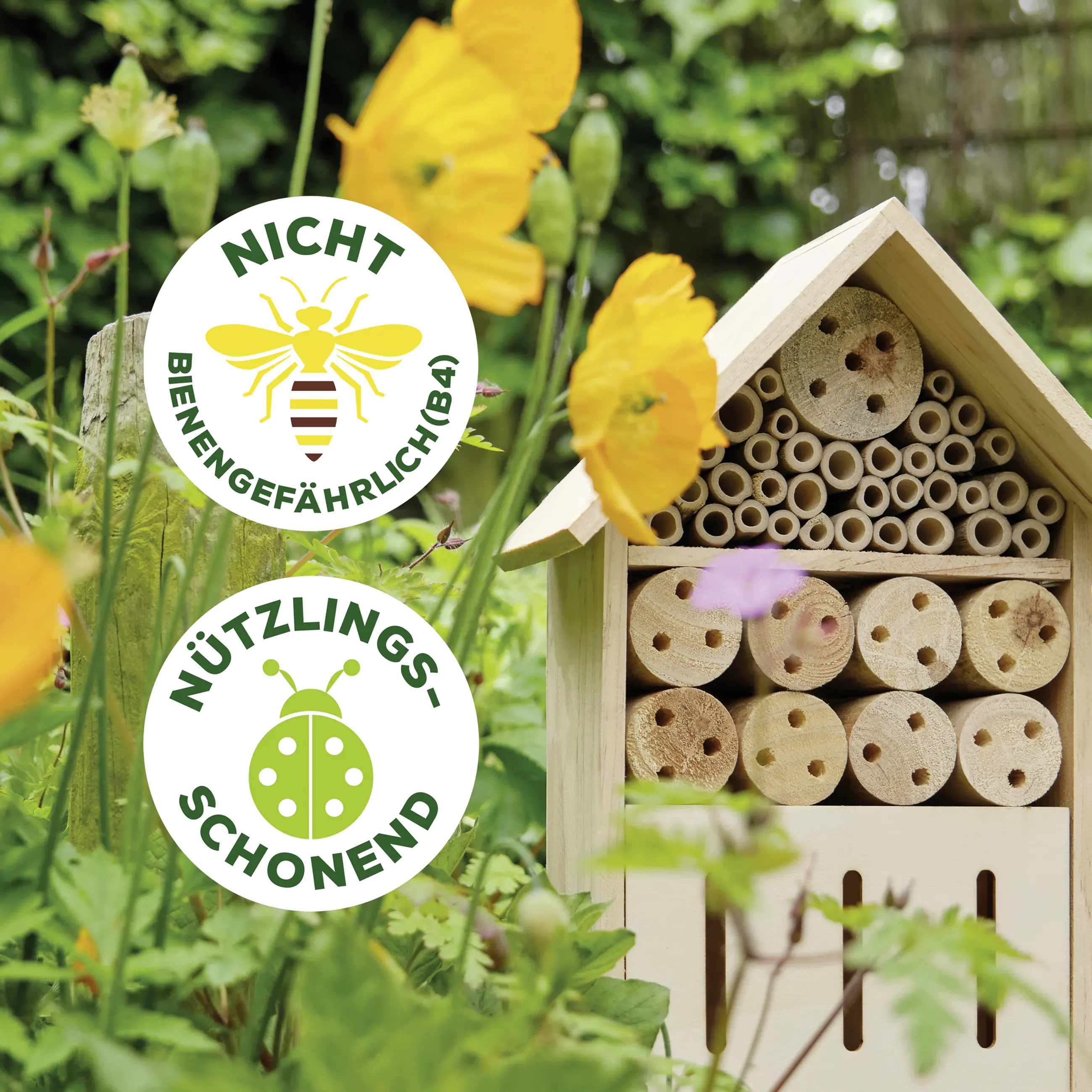 Solabiol Buchsbaumzünslerfrei 50 ml