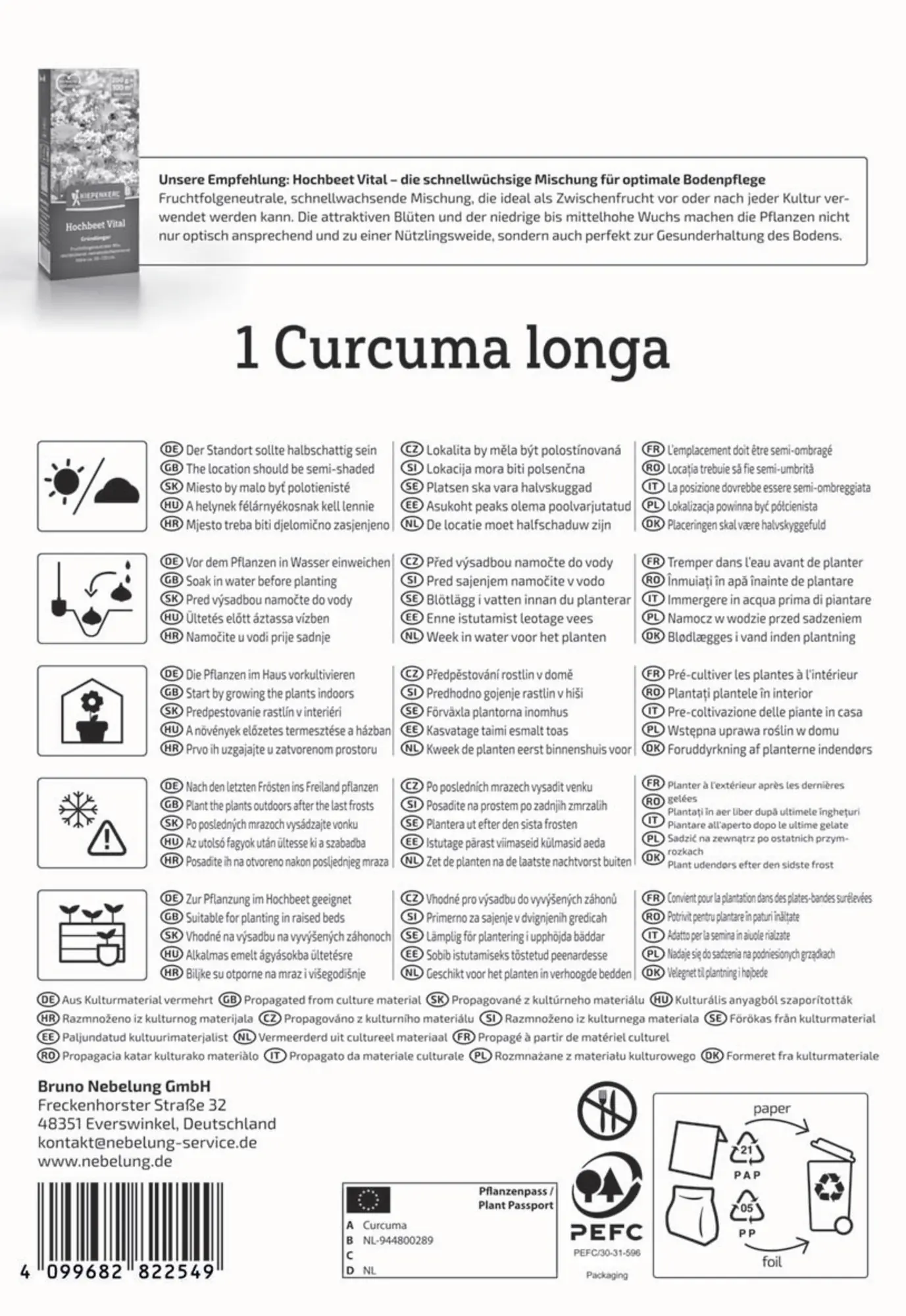 Kiepenkerl Pflanzgut Kurkuma Curcuma longa 1 Stück