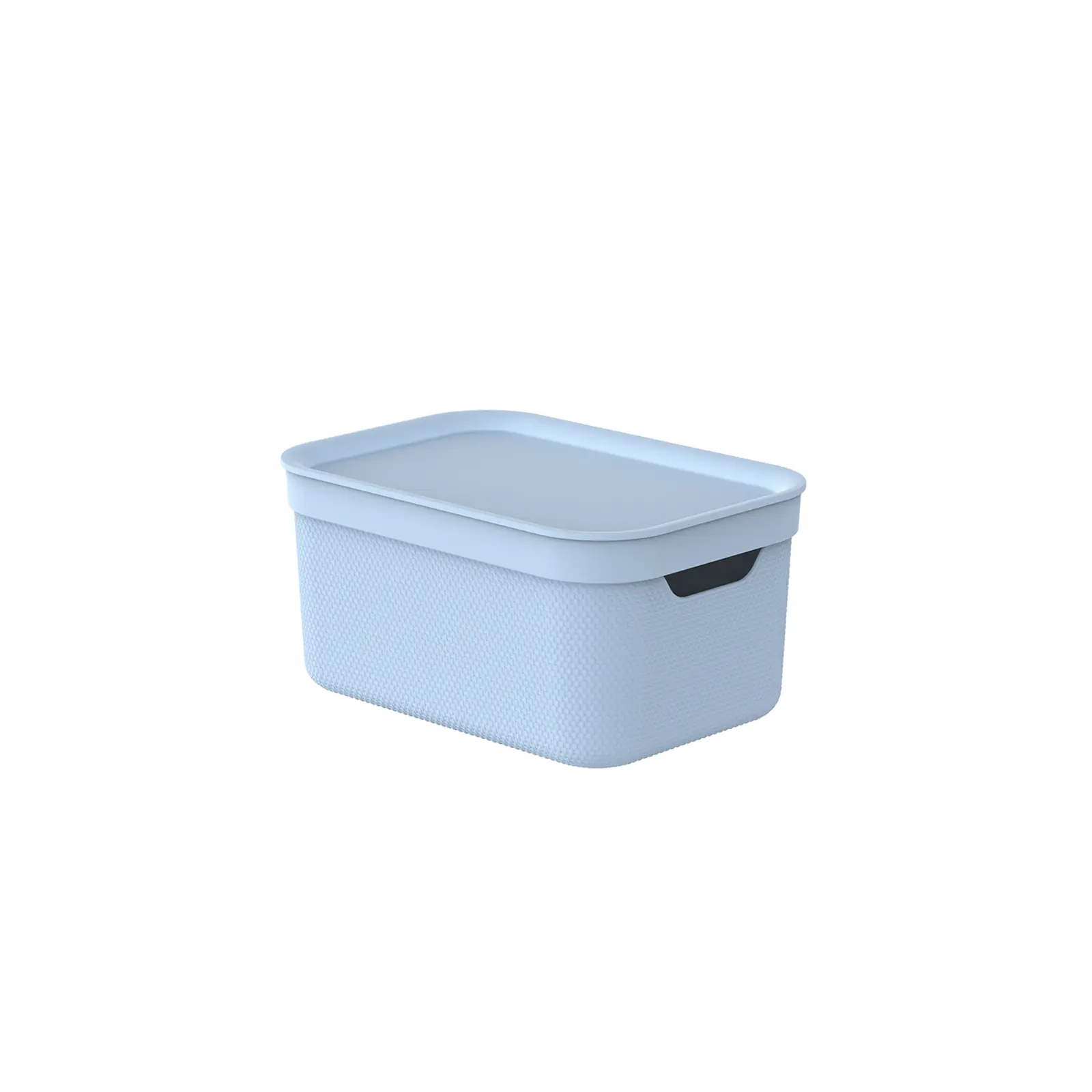 Rotho Aufbewahrungsbox Alvra mit Deckel 26,5 x 18,5 cm 5 L soft blau