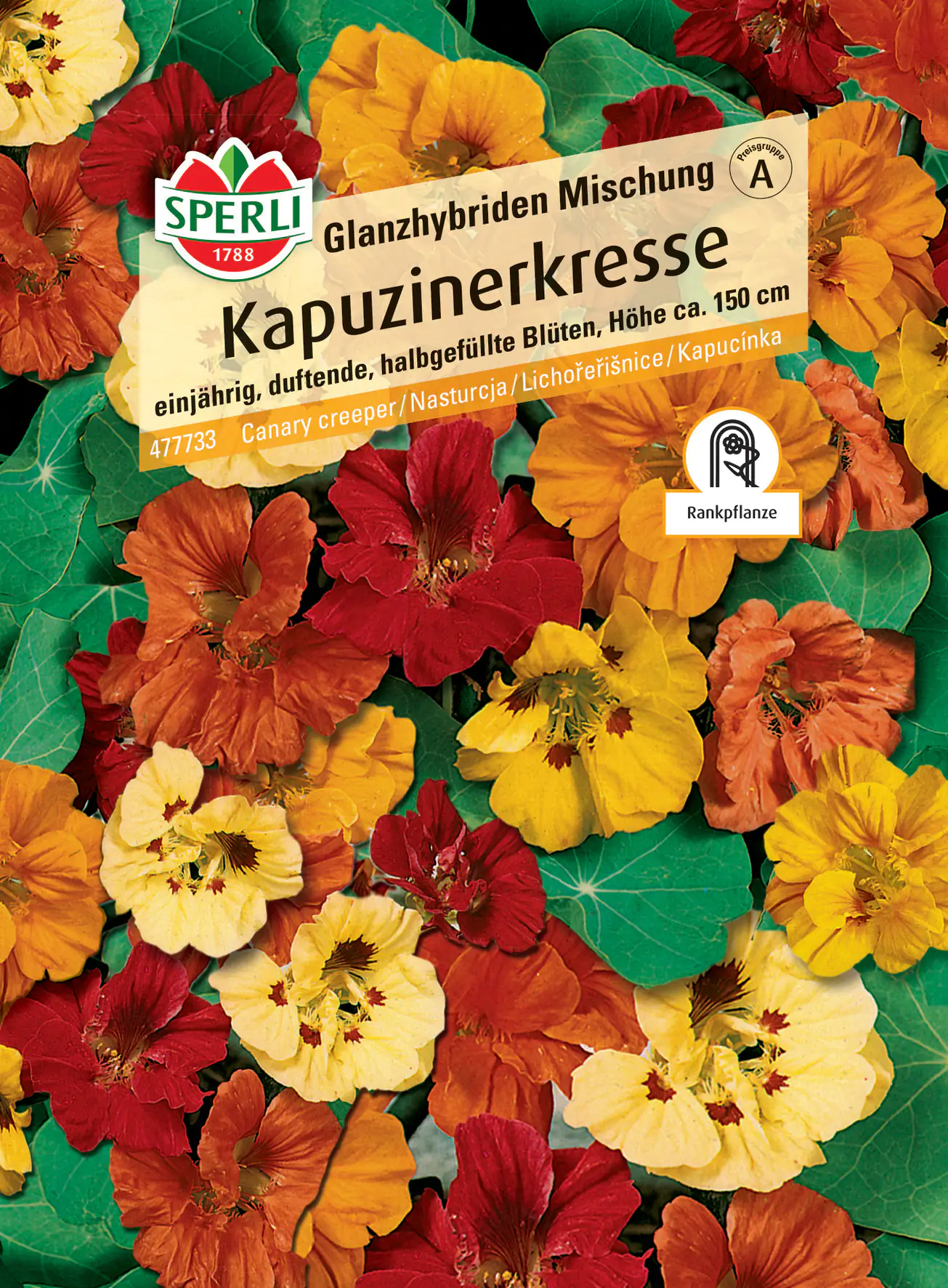 Sperli Kapuzinerkresse Glanzhybriden Mischung