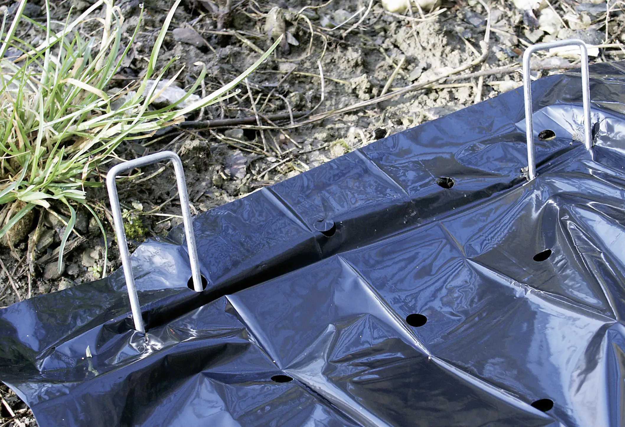 Metallheringe 4 x 15 cm, 10 Stück