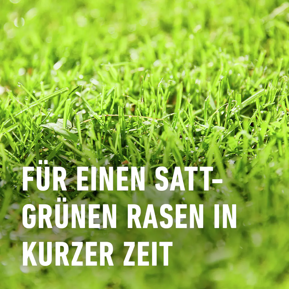 Compo Rasendünger Turbo 5 kg