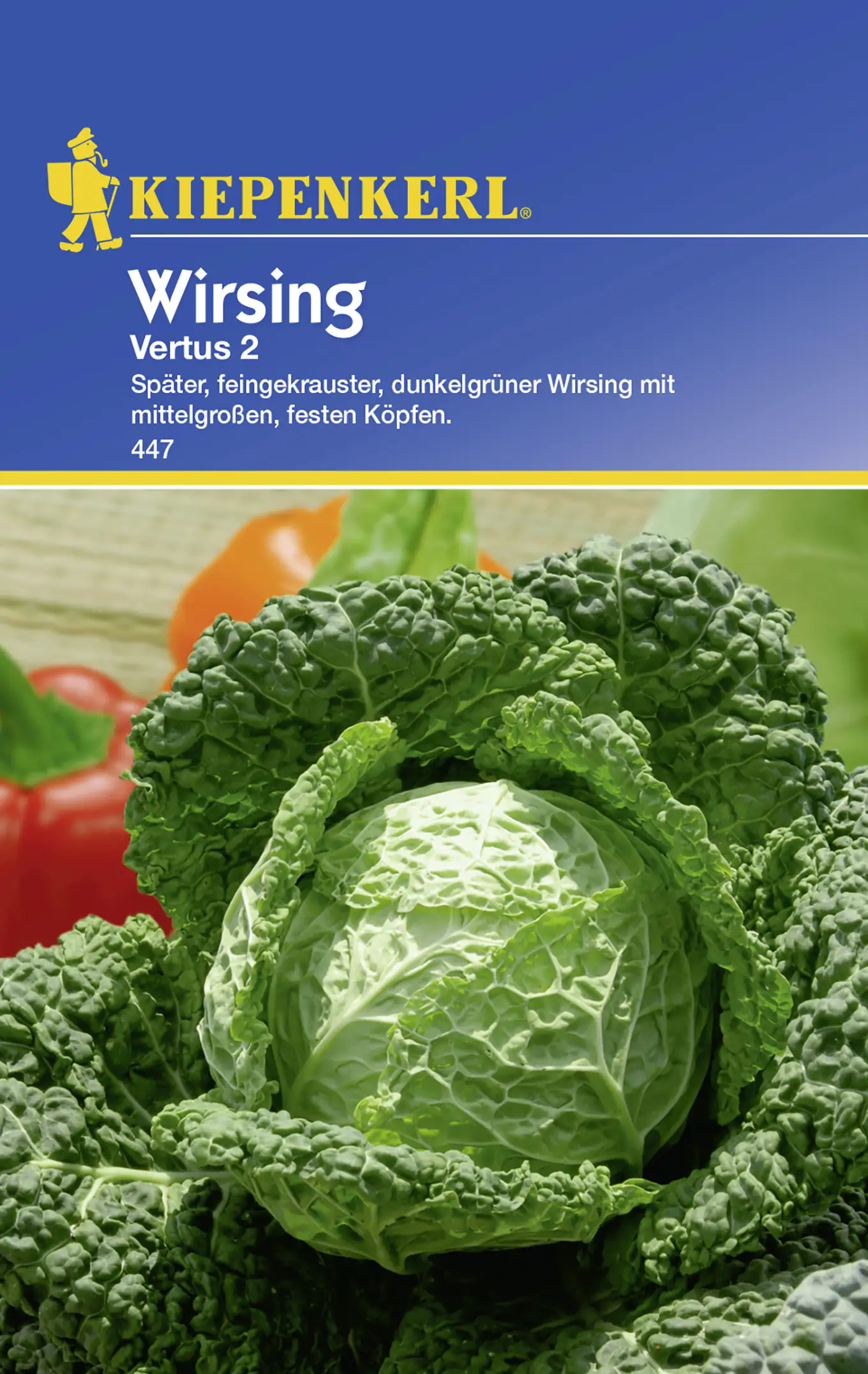 Kiepenkerl Wirsing Vertus 2 Brassica oleracea var. sabauda, Inhalt: ca. 50 Pflanzen