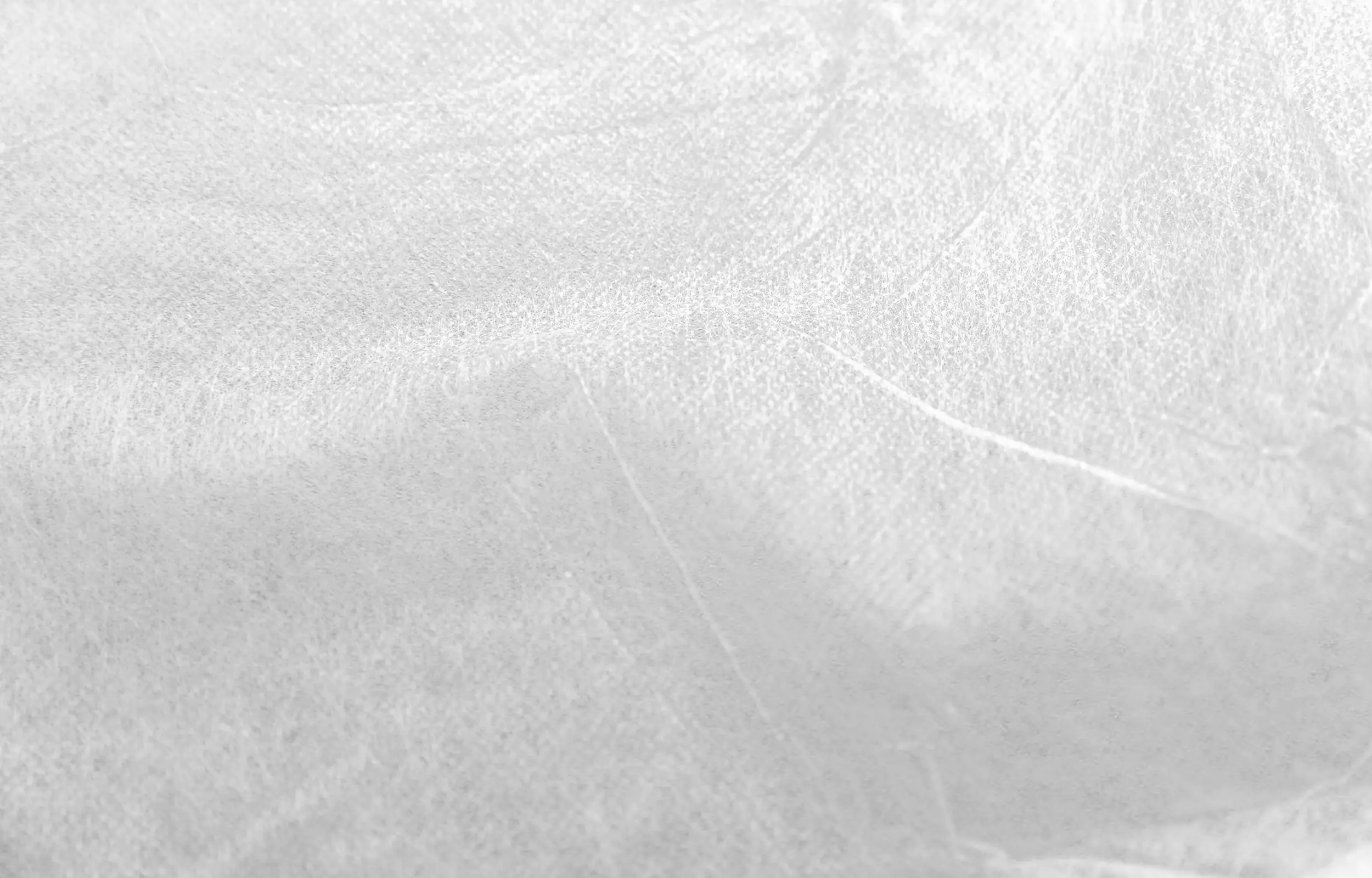 TrendLine Frühbeetvlies 1,5 x 5 m