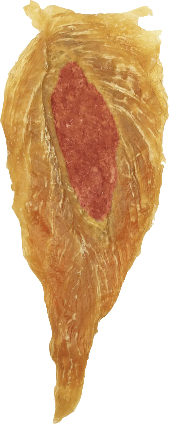 8in1 Hundesnack Fillets Pro Active S