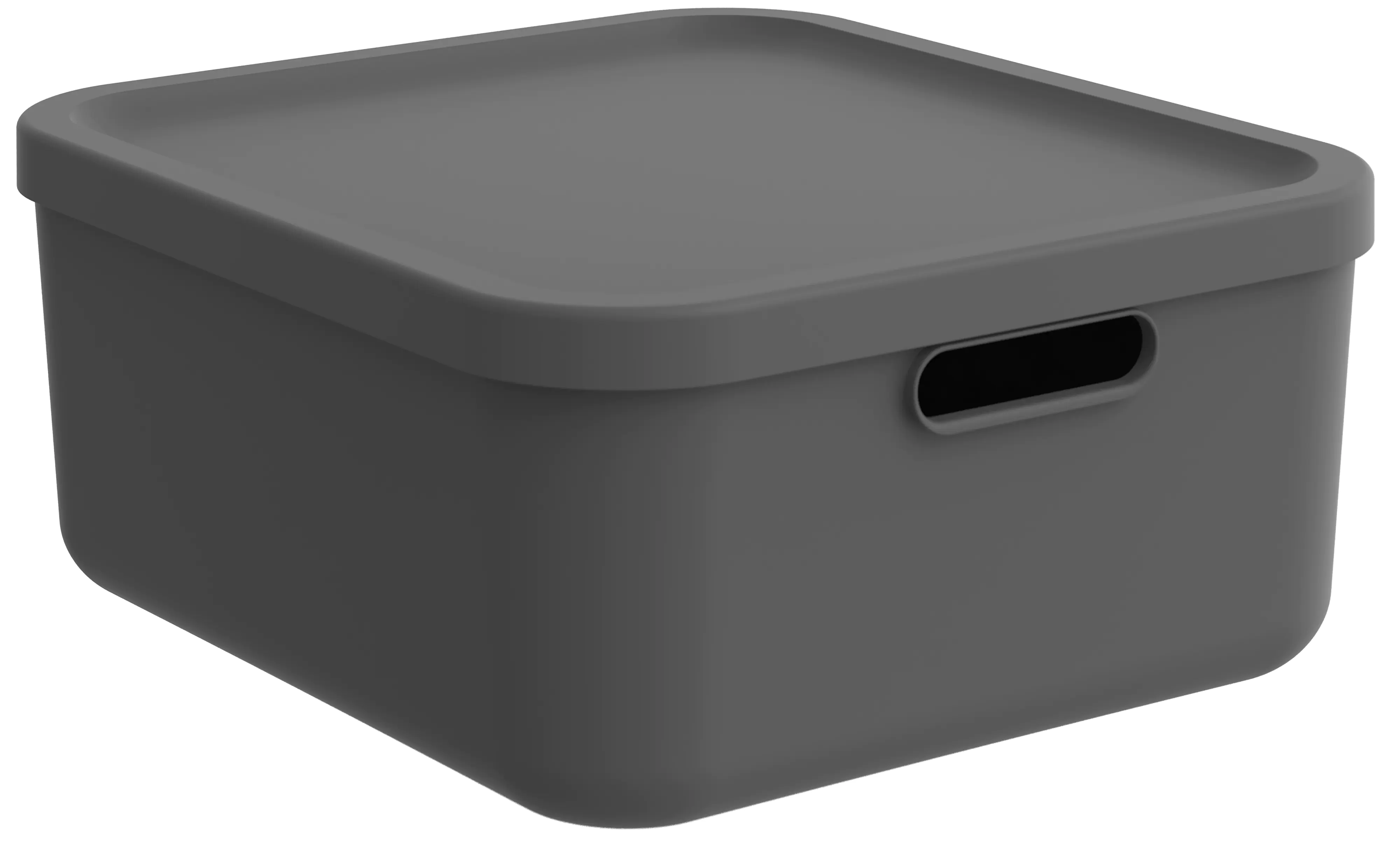 Rotho Aufbewahrungsbox 20 L Albula anthrazit inkl. Deckel 