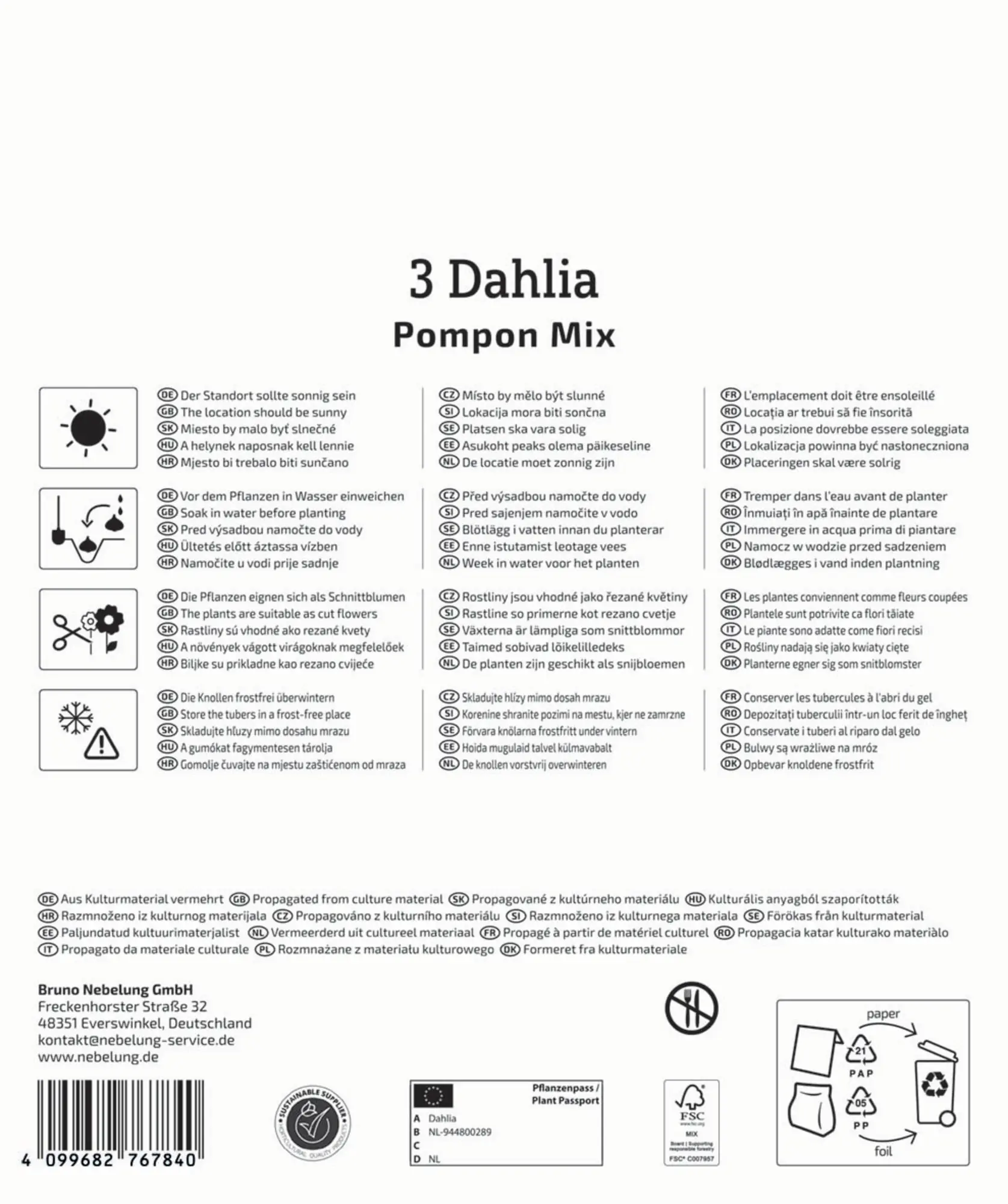 Kiepenkerl Mega-Pack Frühjahrsblumenzwiebel Pompon-Dahlien Mischung 3 Stück