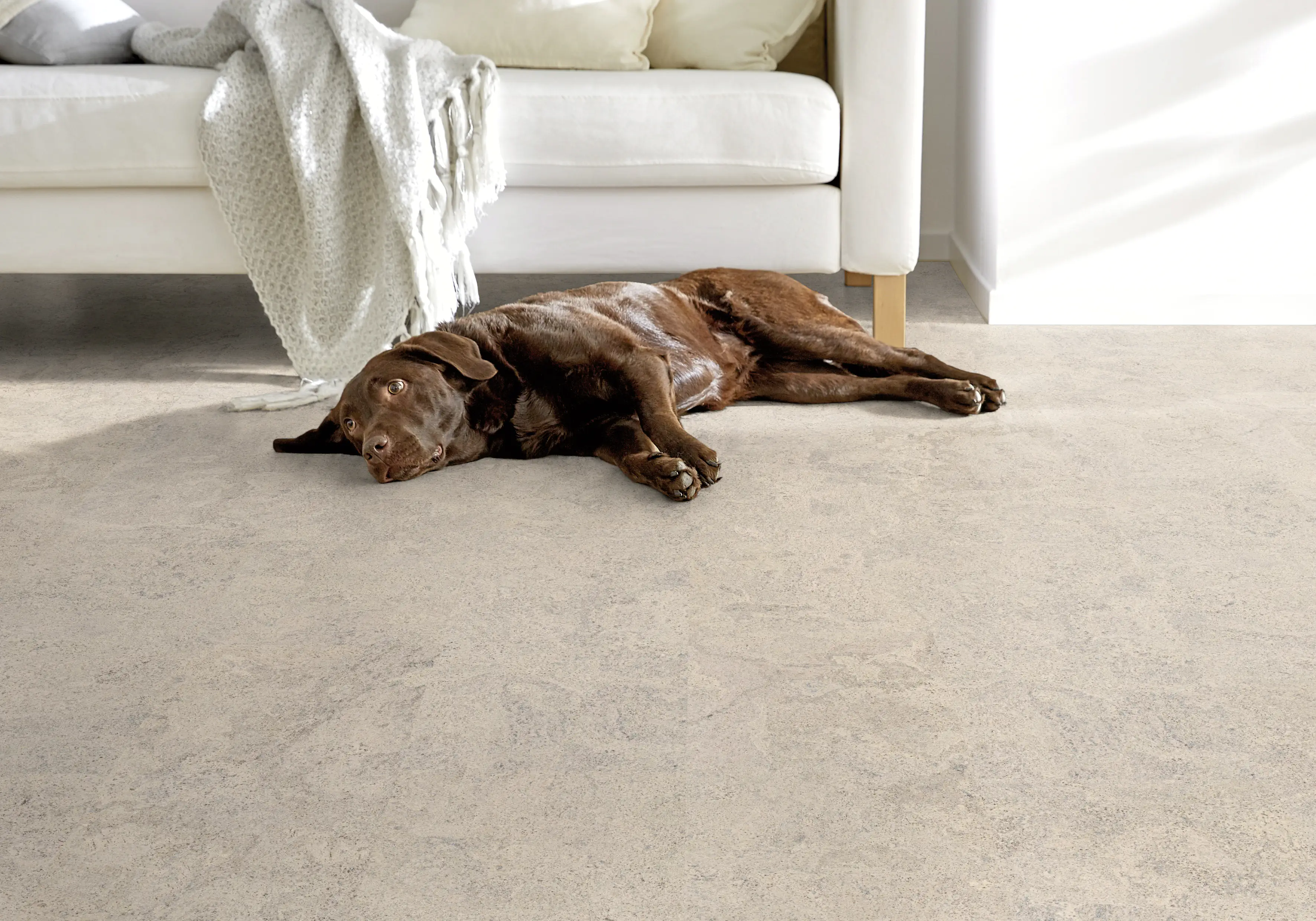 Corklife Korkboden Studiostyle Abrantes weiß