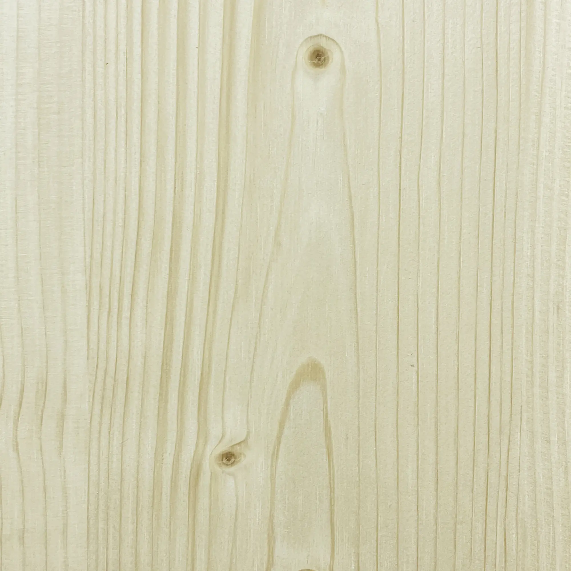 FN Neuhofer Flachleiste 240 cm 60 x 13 mm Fichte/Kiefer