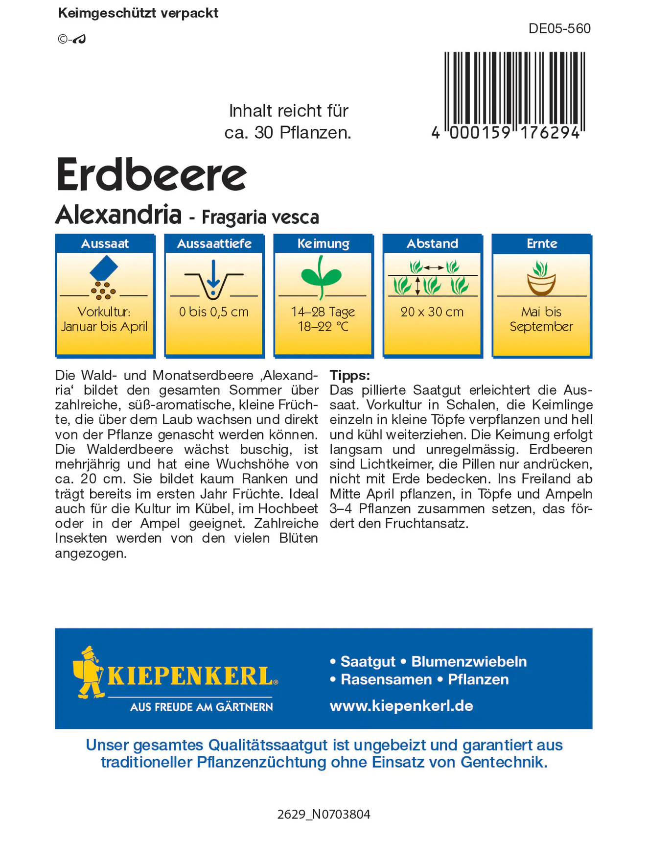 Kiepenkerl Walderdbeere Alexandria Pillensaat Kiepenkerl Walderdbeere Alexandria Pillensaat