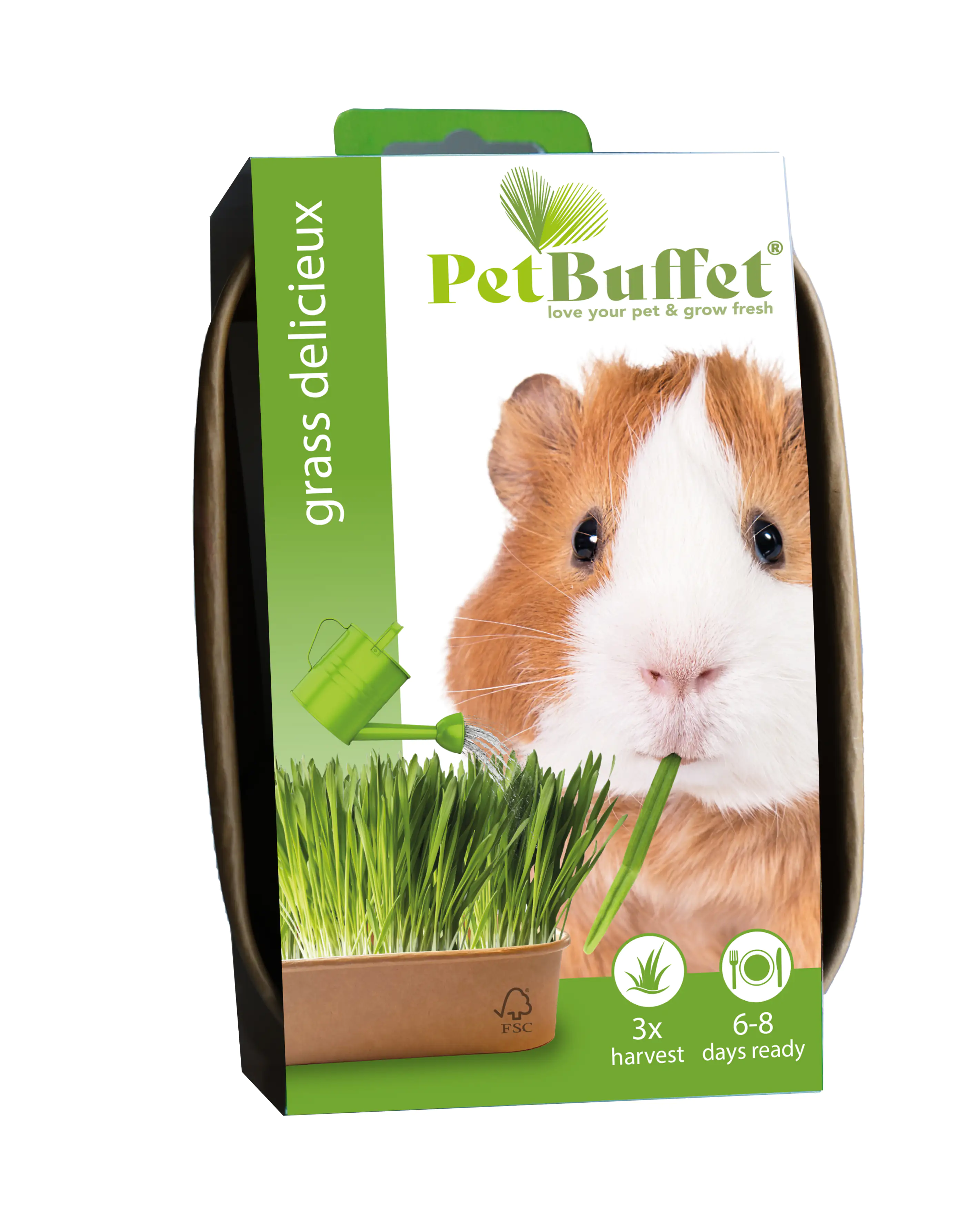 Baza Seeds Pet Buffet Gras Delicieux für Meerschweinchen