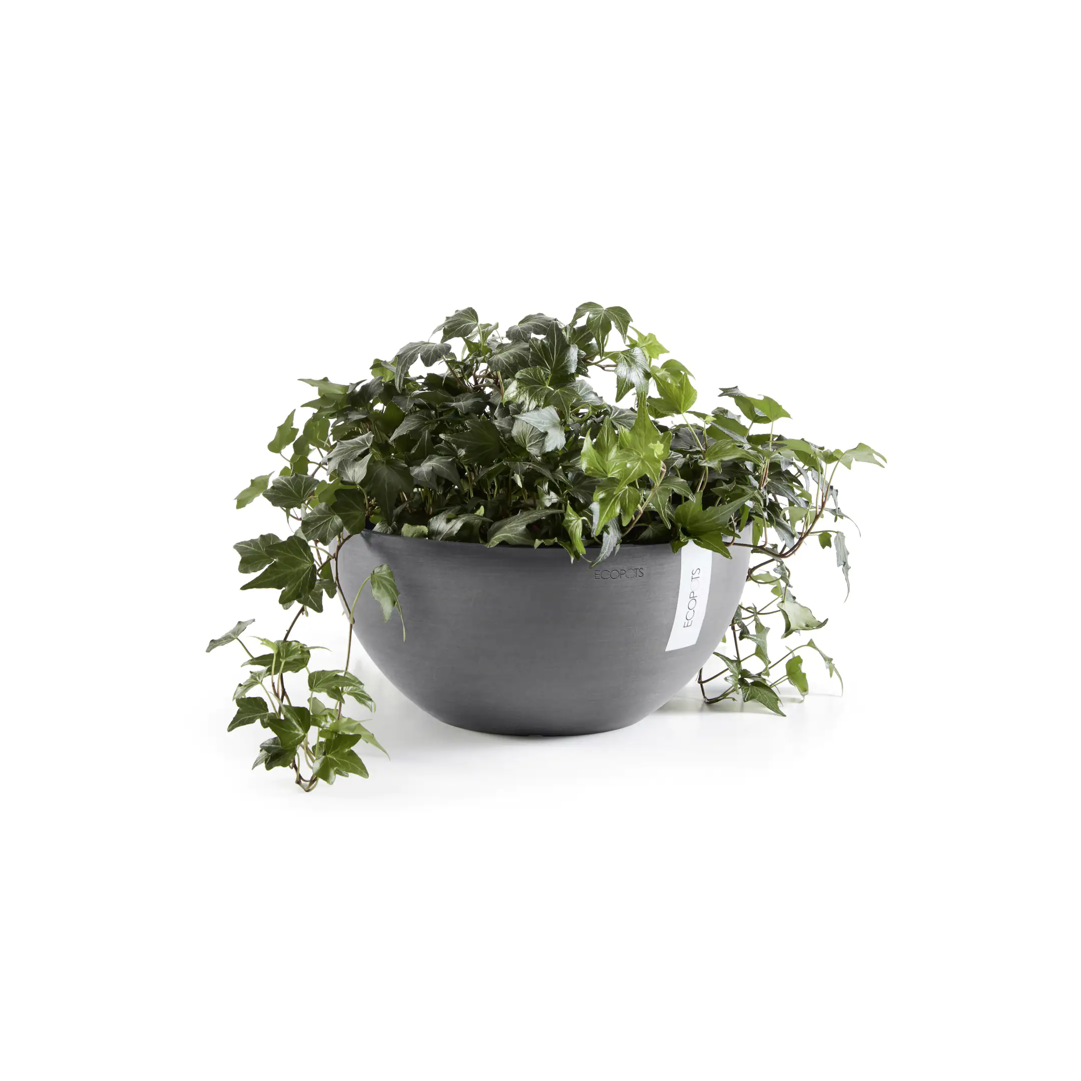 Ecopots Pflanztopf Brussels Ø 35 x 16,5 cm grau