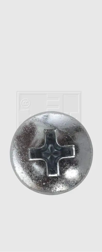 SWG Nummernschildschraube 4.8 x 19 mm mit Abdeckkappe