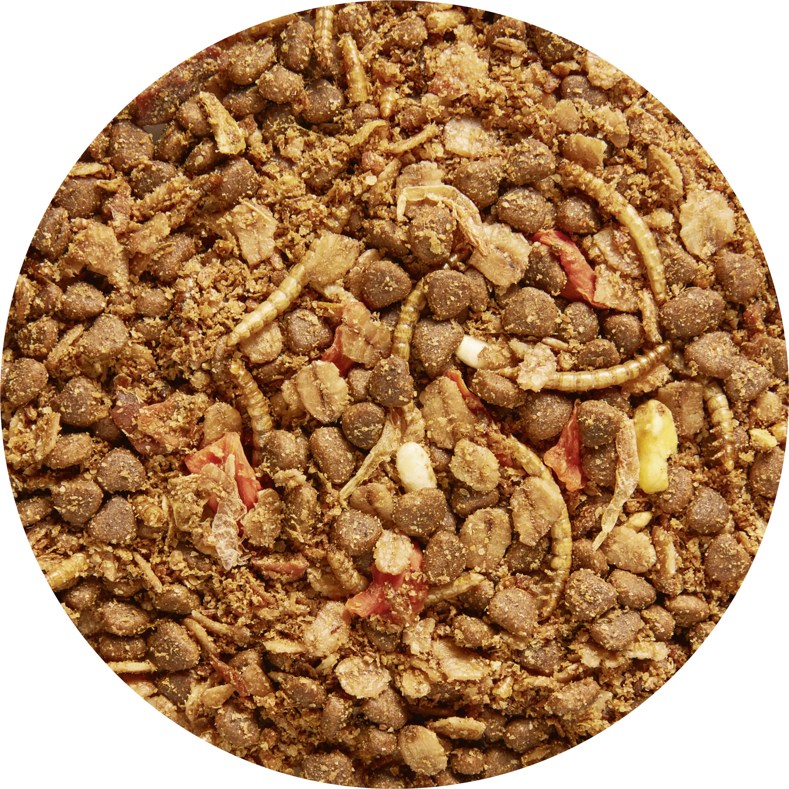 Vitakraft Igelfutter Menü 2,5 kg Vitakraft Igelfutter Menü 2,5 kg