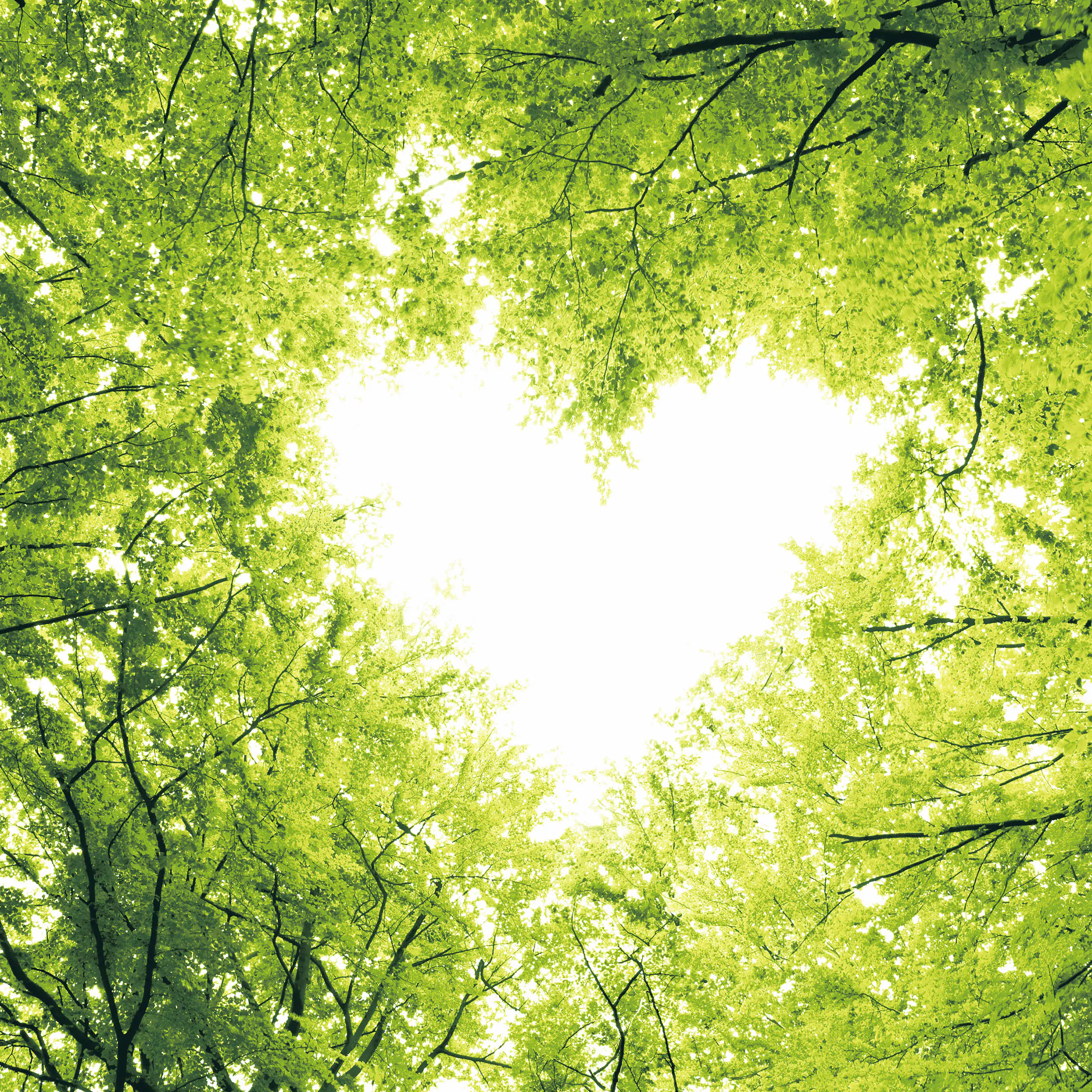 Duni Servietten Nature Love 24 x 24 cm - 20er Pack
