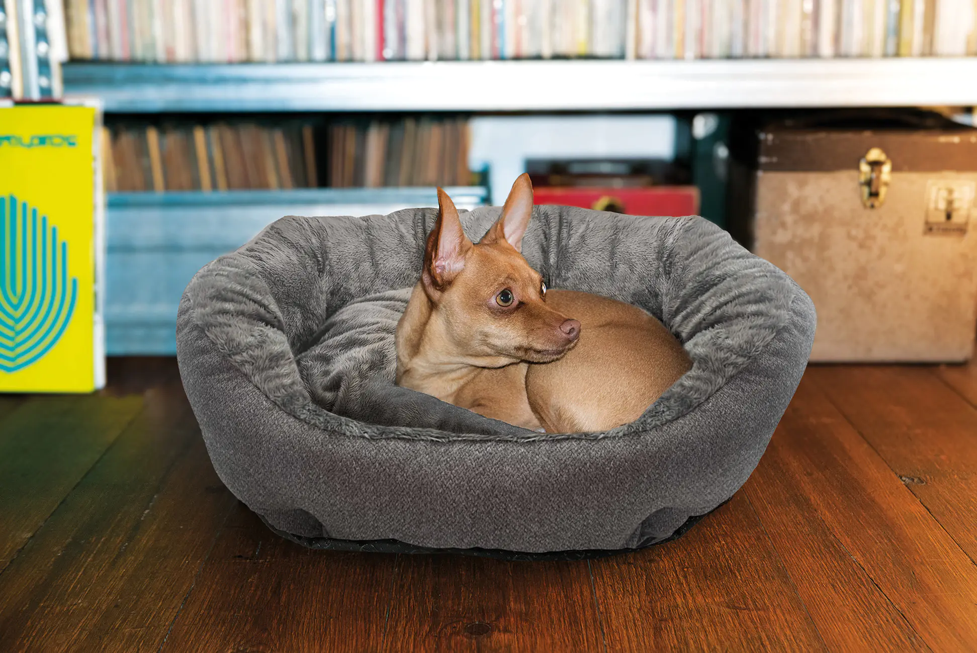 MyPlace Hundebett Frida anthrazit MyPlace Hundebett Frida anthrazit