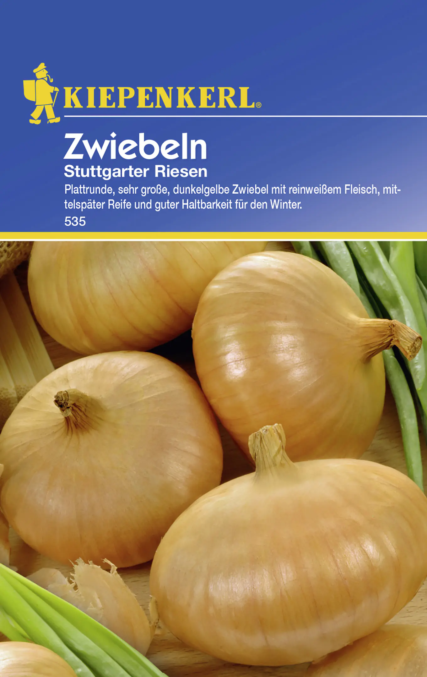 Kiepenkerl Zwiebel Stuttgarter Riesen Allium cepa, Inhalt: ca. 6 lfd. Meter