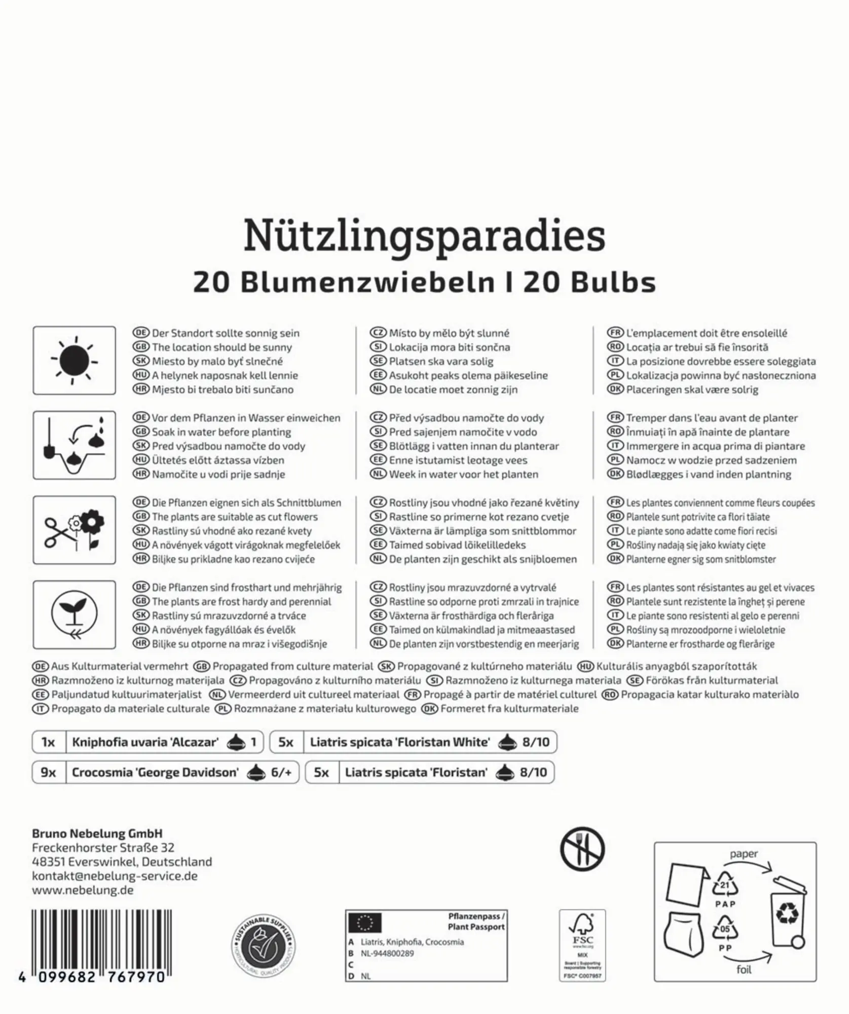 Kiepenkerl Mega-Pack Frühjahrsblumenzwiebel Blumenzwiebelmischung Nützlingsparadies 20 Stück